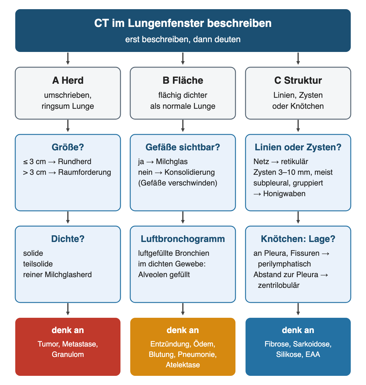 Beschreibungsweg in drei Spalten: A umschriebener Herd nach Größe und Dichte, B flächige Dichteanhebung nach Sichtbarkeit der Gefäße und Luftbronchogramm, C Linien, Zysten und Knötchen nach Muster und Lage; unten jeweils, woran du denkst