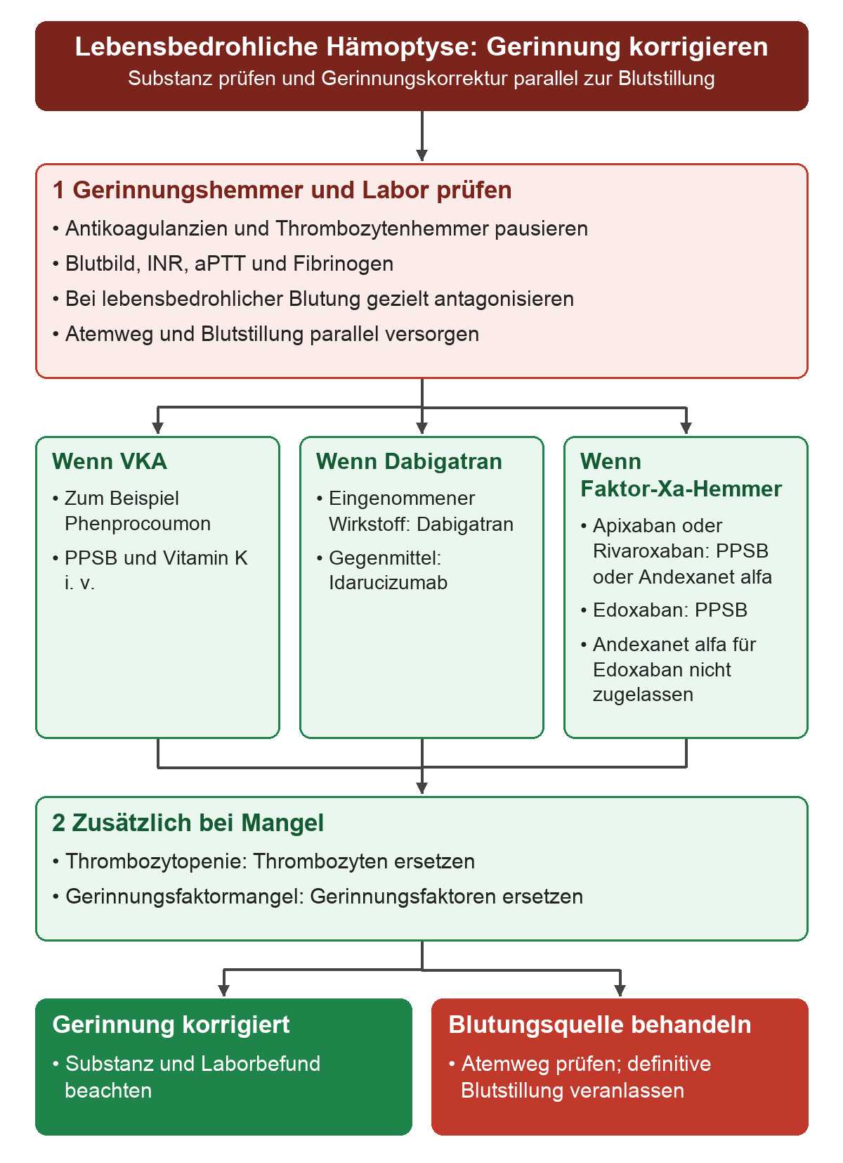 Bei lebensbedrohlicher Hämoptyse werden parallel zur Atemwegsversorgung und Blutstillung Gerinnungshemmer pausiert und das Labor geprüft; je nach Substanz folgen PPSB plus Vitamin K, Idarucizumab oder die für den Faktor-Xa-Hemmer geeignete Option, bei Mangel zusätzlich Thrombozyten oder Gerinnungsfaktoren.