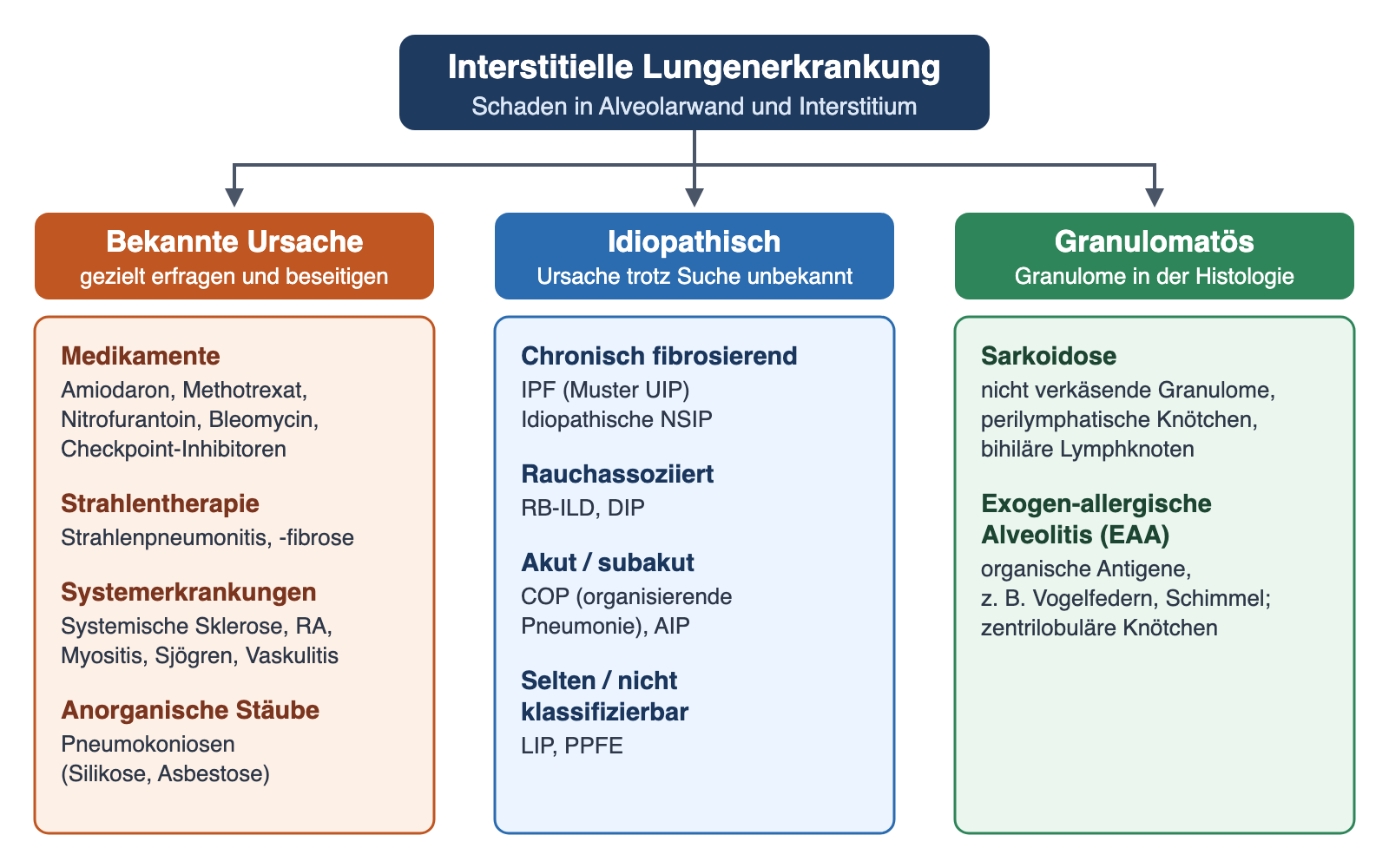 Baumdiagramm: Die interstitielle Lungenerkrankung teilt sich in bekannte Ursache, idiopathische Formen und granulomatöse Erkrankungen mit Beispielen.