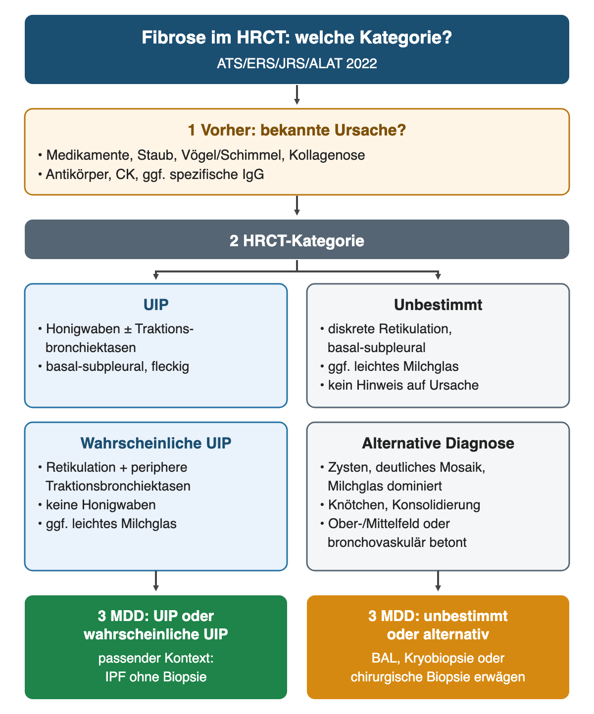 Algorithmus: zuerst bekannte Ursachen ausschließen, dann HRCT-Kategorie bestimmen. Links UIP (Honigwaben) und wahrscheinliche UIP (Retikulation mit peripheren Traktionsbronchiektasen, keine Honigwaben) führen in der MDD im passenden Kontext zur IPF-Diagnose ohne Biopsie; rechts unbestimmt und alternative Diagnose führen zur Prüfung von BAL, Kryobiopsie oder chirurgischer Biopsie.