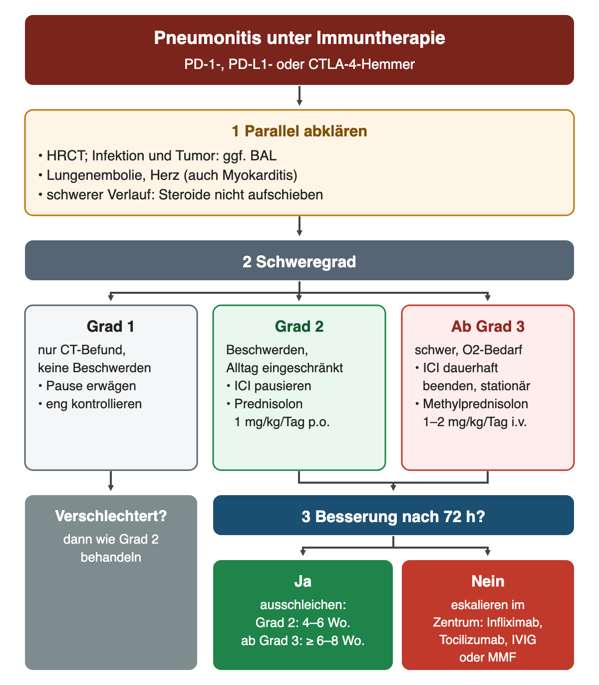 Algorithmus zur Checkpoint-Inhibitor-Pneumonitis: 1 parallel abklären, 2 Schweregrad mit Grad 1 (nur CT-Befund, Pause erwägen), Grad 2 (Immuntherapie pausieren, Prednisolon 1 mg/kg/Tag) und ab Grad 3 (dauerhaft beenden, Methylprednisolon 1–2 mg/kg/Tag i.v.); 3 Besserung nach 72 Stunden: ja ausschleichen über 4–6 bzw. mindestens 6–8 Wochen, nein Eskalation im Zentrum.