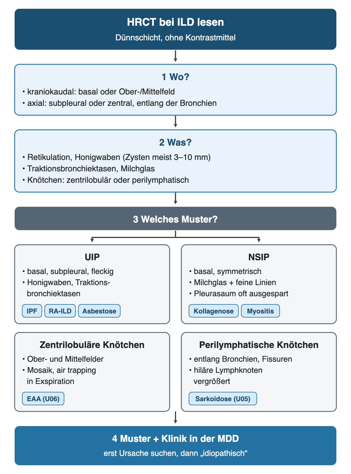 Ablauf in vier Schritten: 1 Wo (kraniokaudal und axial), 2 Was (Retikulation, Honigwaben, Traktionsbronchiektasen, Milchglas, Knötchen), 3 welches Muster mit vier Kästen UIP, NSIP, zentrilobuläre und perilymphatische Knötchen samt typischen Erkrankungen, 4 Muster und Klinik in der MDD.