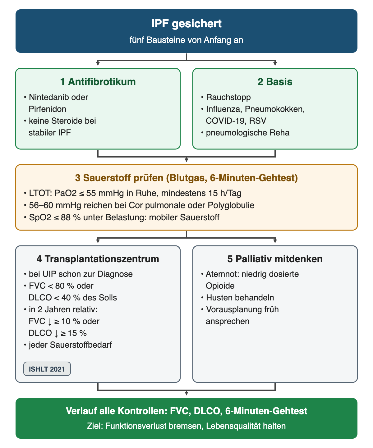 Fünf Bausteine nach gesicherter IPF: 1 Antifibrotikum, 2 Basis mit Rauchstopp, Impfungen und Reha, 3 Sauerstoff prüfen mit LTOT-Schwellen und Belastungssättigung, 4 Transplantationszentrum mit Überweisungskriterien, 5 palliative Mitbetreuung; unten Verlaufskontrolle mit FVC, DLCO und 6-Minuten-Gehtest.