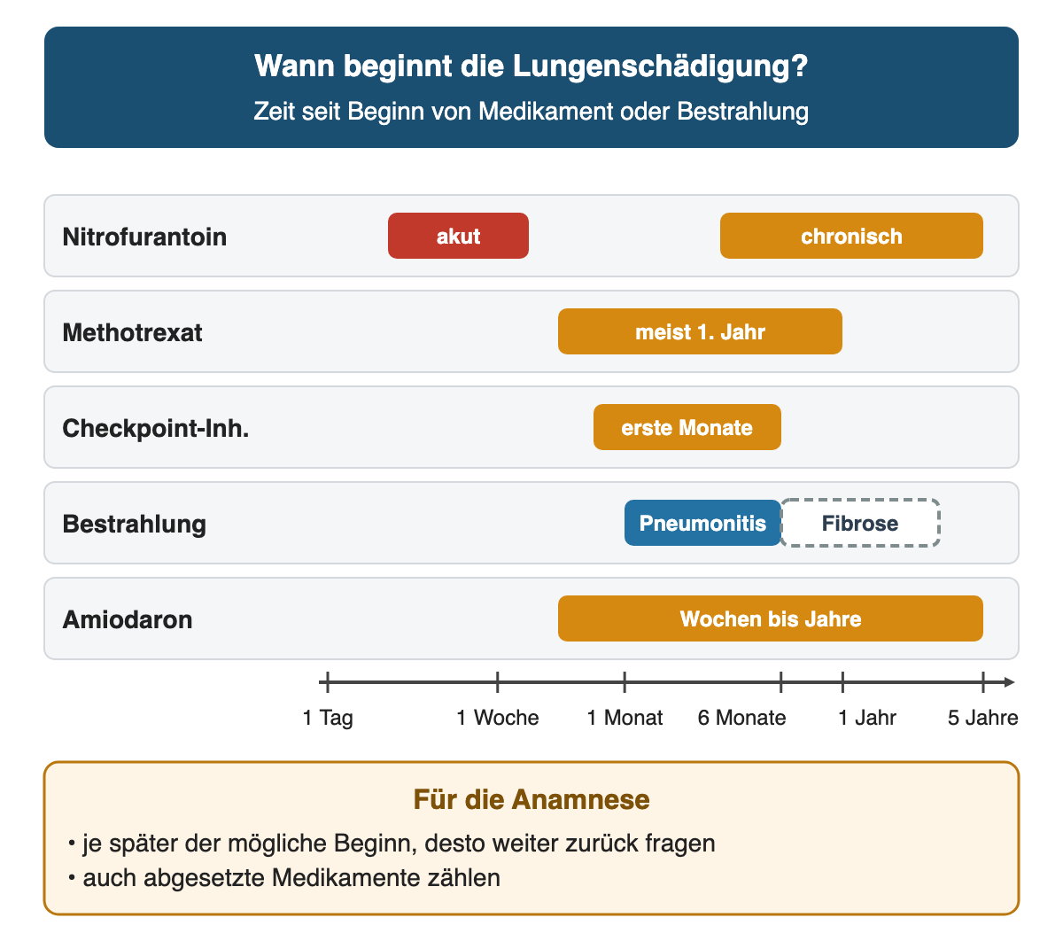 Zeitachse mit logarithmischer Skala von einem Tag bis fünf Jahre: Nitrofurantoin akut nach Tagen und chronisch nach Monaten bis Jahren, Methotrexat meist im ersten Jahr, Checkpoint-Inhibitoren in den ersten Monaten, Bestrahlung mit Pneumonitis nach 1 bis 6 Monaten und späterer Fibrose, Amiodaron nach Wochen bis Jahren.