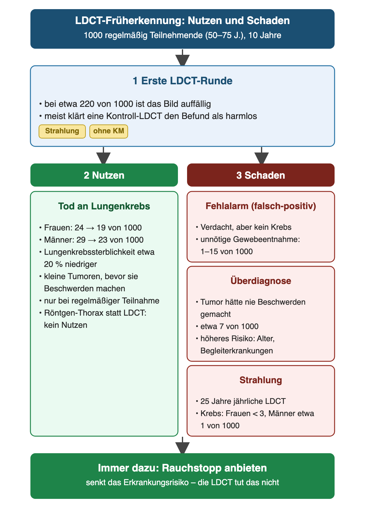 Oben die erste LDCT-Runde mit etwa 220 auffälligen Befunden pro 1000; darunter links der Nutzen mit weniger Todesfällen an Lungenkrebs bei Frauen und Männern, rechts drei Schäden: Fehlalarm mit unnötiger Gewebeentnahme, Überdiagnose und Strahlung, jeweils mit Häufigkeiten pro 1000; unten der Rauchstopp