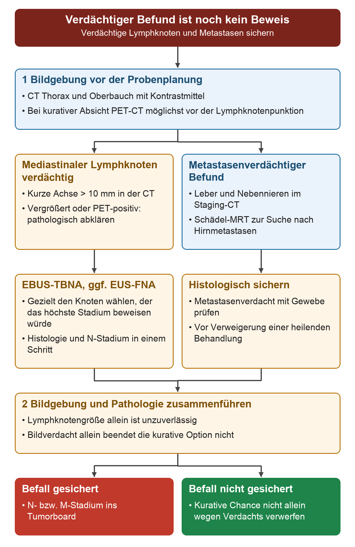 Nach CT und gegebenenfalls PET-CT laufen zwei Wege parallel: verdächtige mediastinale Lymphknoten zur EBUS-TBNA und metastasenverdächtige Befunde zur histologischen Sicherung. Am Ende trennt die gesicherte Pathologie den bewiesenen Befall vom bloßen Verdacht.