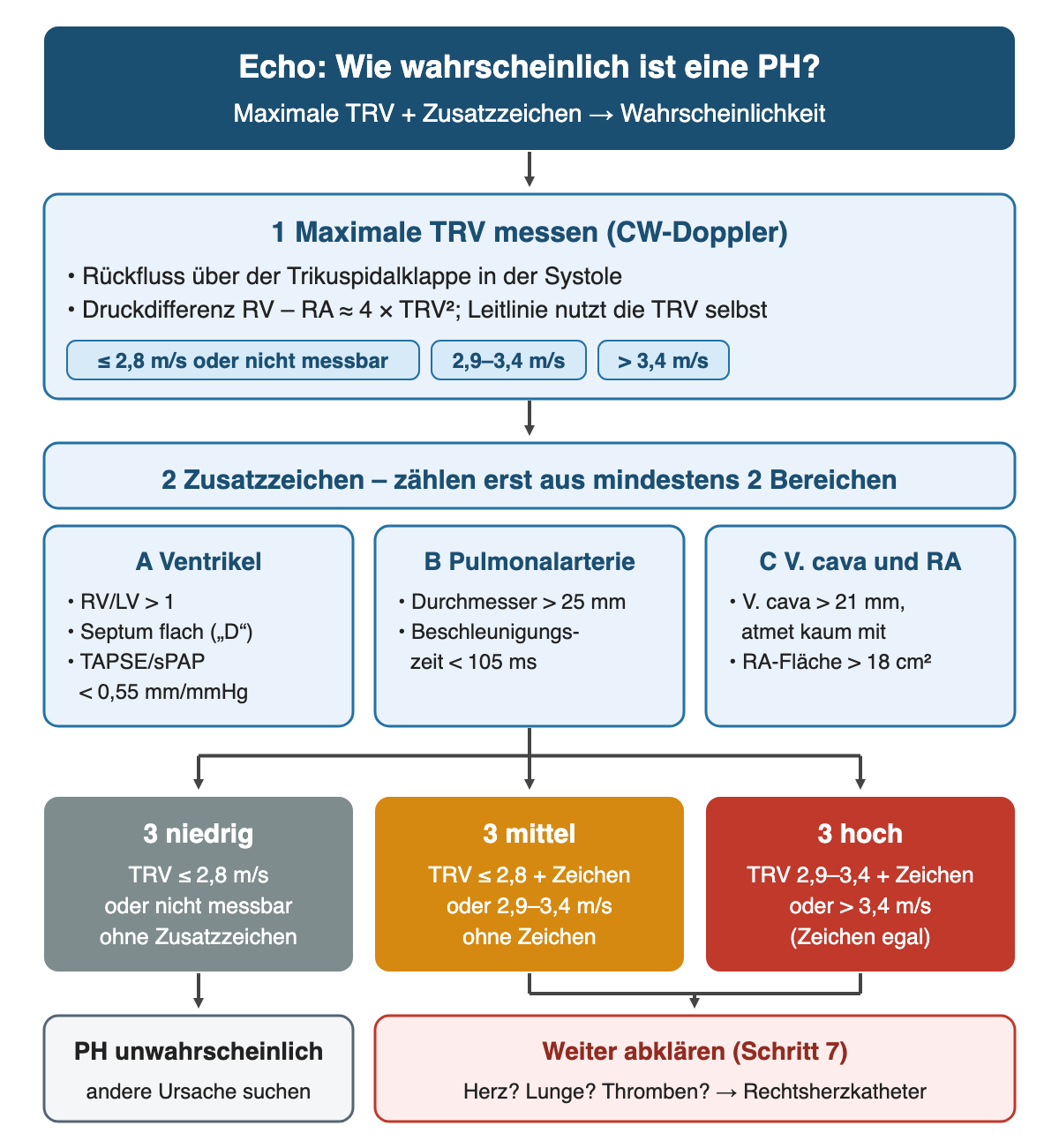 Echo-Wahrscheinlichkeit in drei nummerierten Schritten: 1 maximale TRV messen mit den Stufen bis 2,8, 2,9 bis 3,4 und über 3,4 m/s; 2 Zusatzzeichen aus drei Bereichen, Ventrikel mit RV/LV über 1, D-Form und TAPSE/sPAP unter 0,55 mm/mmHg, Pulmonalarterie über 25 mm und Beschleunigungszeit unter 105 ms, V. cava über 21 mm und RA-Fläche über 18 cm²; 3 niedrige, mittlere oder hohe Wahrscheinlichkeit; unten PH unwahrscheinlich oder weiter abklären