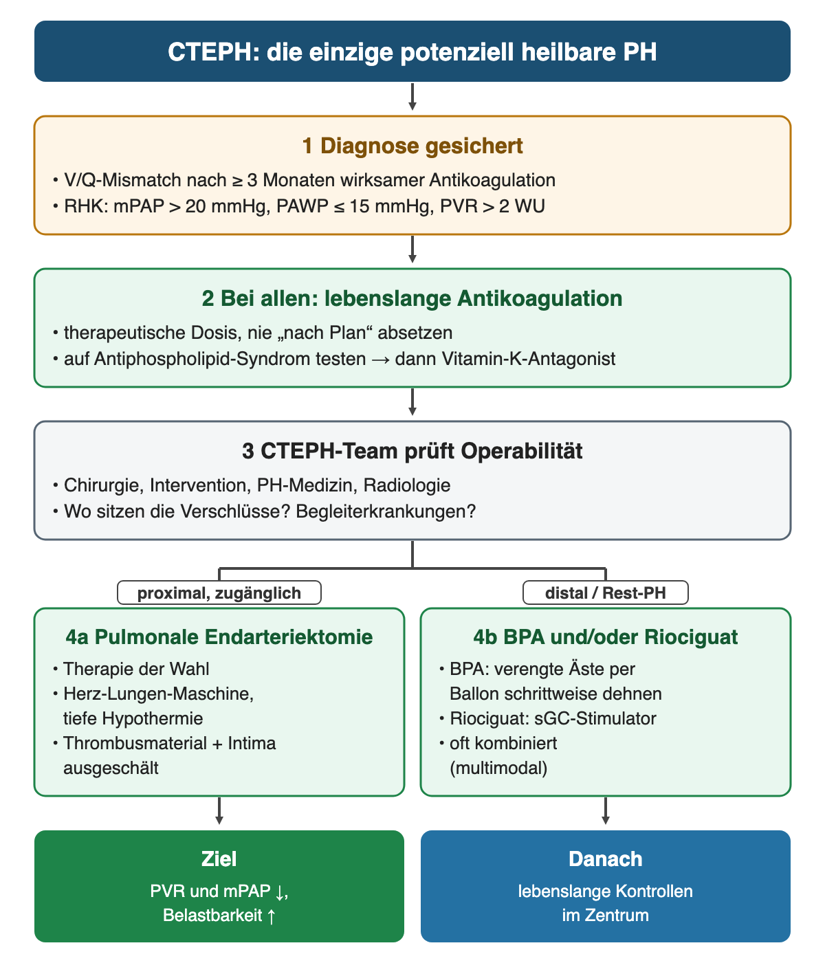 CTEPH-Therapie in vier Schritten: 1 Diagnose gesichert mit V/Q-Mismatch nach mindestens drei Monaten Antikoagulation und präkapillärer PH im Rechtsherzkatheter; 2 lebenslange Antikoagulation, Test auf Antiphospholipid-Syndrom; 3 CTEPH-Team prüft Operabilität; Verzweigung proximal zugänglich zu 4a pulmonale Endarteriektomie und distal oder Rest-PH zu 4b Ballonangioplastie und Riociguat; unten Ziel und lebenslange Kontrollen