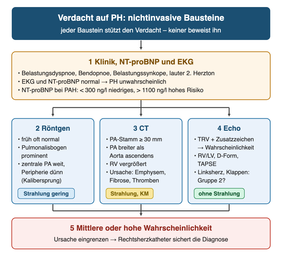 Nichtinvasive Bausteine bei PH-Verdacht: 1 Klinik, NT-proBNP und EKG mit den NT-proBNP-Grenzen 300 und 1100 ng/l; darunter nebeneinander 2 Röntgen, 3 CT mit Pulmonalarterienstamm ab 30 mm und 4 Echo mit TRV und Zusatzzeichen, jeweils mit Etikett zur Strahlung; unten 5 mittlere oder hohe Wahrscheinlichkeit, Rechtsherzkatheter sichert die Diagnose