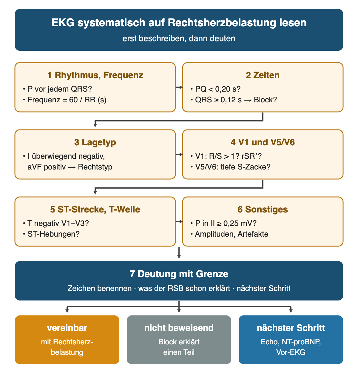 Sechs nummerierte Prüfschritte in zwei Spalten mit Pfeilen: Rhythmus und Frequenz, Zeiten, Lagetyp, V1 und V5/V6, ST-Strecke und T-Welle, Sonstiges; darunter 7 Deutung mit Grenze und drei Ergebnisse: vereinbar mit Rechtsherzbelastung, nicht beweisend, nächster Schritt Echo, NT-proBNP und Vor-EKG
