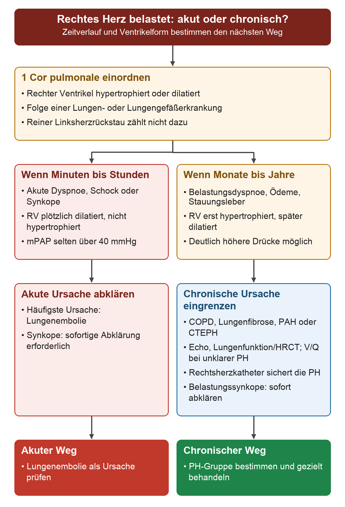 Bei einer Rechtsherzbelastung durch Lungen- oder Lungengefäßerkrankung verzweigt der Verlauf in Minuten bis Stunden mit akut dilatiertem Ventrikel und Lungenembolieverdacht sowie Monate bis Jahre mit Hypertrophie, späterer Dilatation und weiterer PH-Gruppenabklärung.