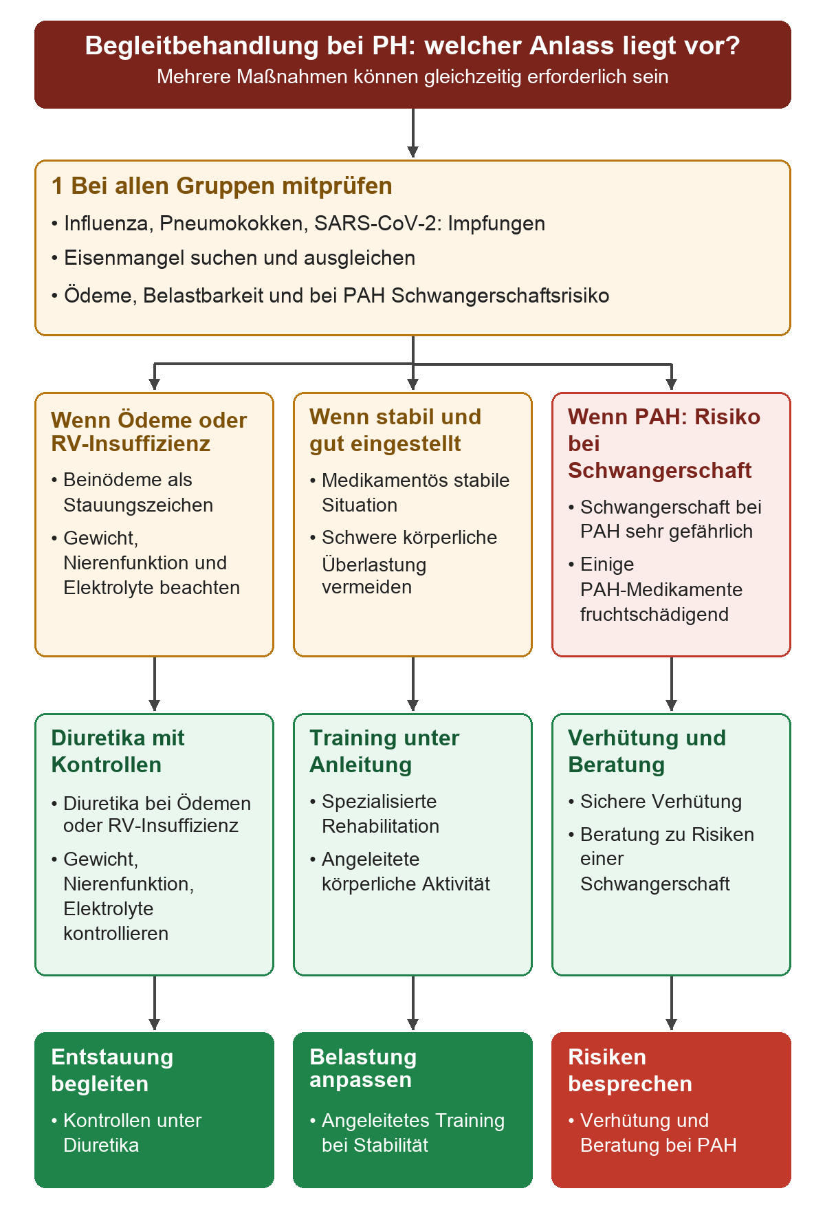 Nach gemeinsamen Impf- und Eisenmangelprüfungen führen Ödeme oder Rechtsherzinsuffizienz zu Diuretika mit Gewichts-, Nieren- und Elektrolytkontrollen, klinische Stabilität zu angeleitetem Training und PAH mit Schwangerschaftsrisiko zu sicherer Verhütung und Beratung.