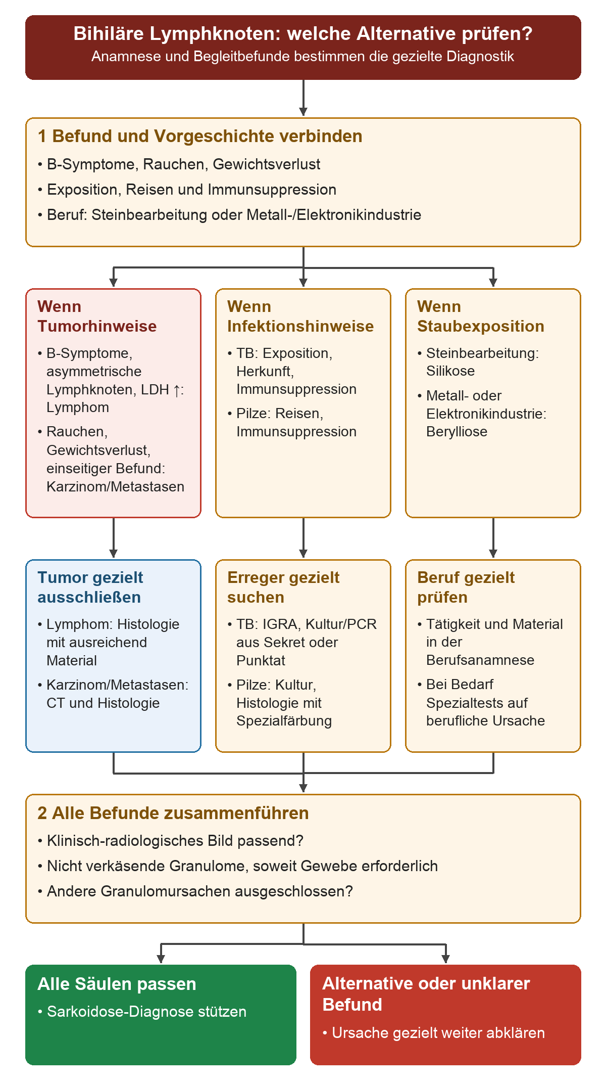 Von bihilären Lymphknoten führen Tumorhinweise, Infektionsrisiken oder Staubexposition zu gezielter Histologie und CT, Erregerdiagnostik oder Berufsanamnese und Spezialtests; danach werden klinisches Bild, Granulome und Ausschluss anderer Ursachen zusammengeführt.