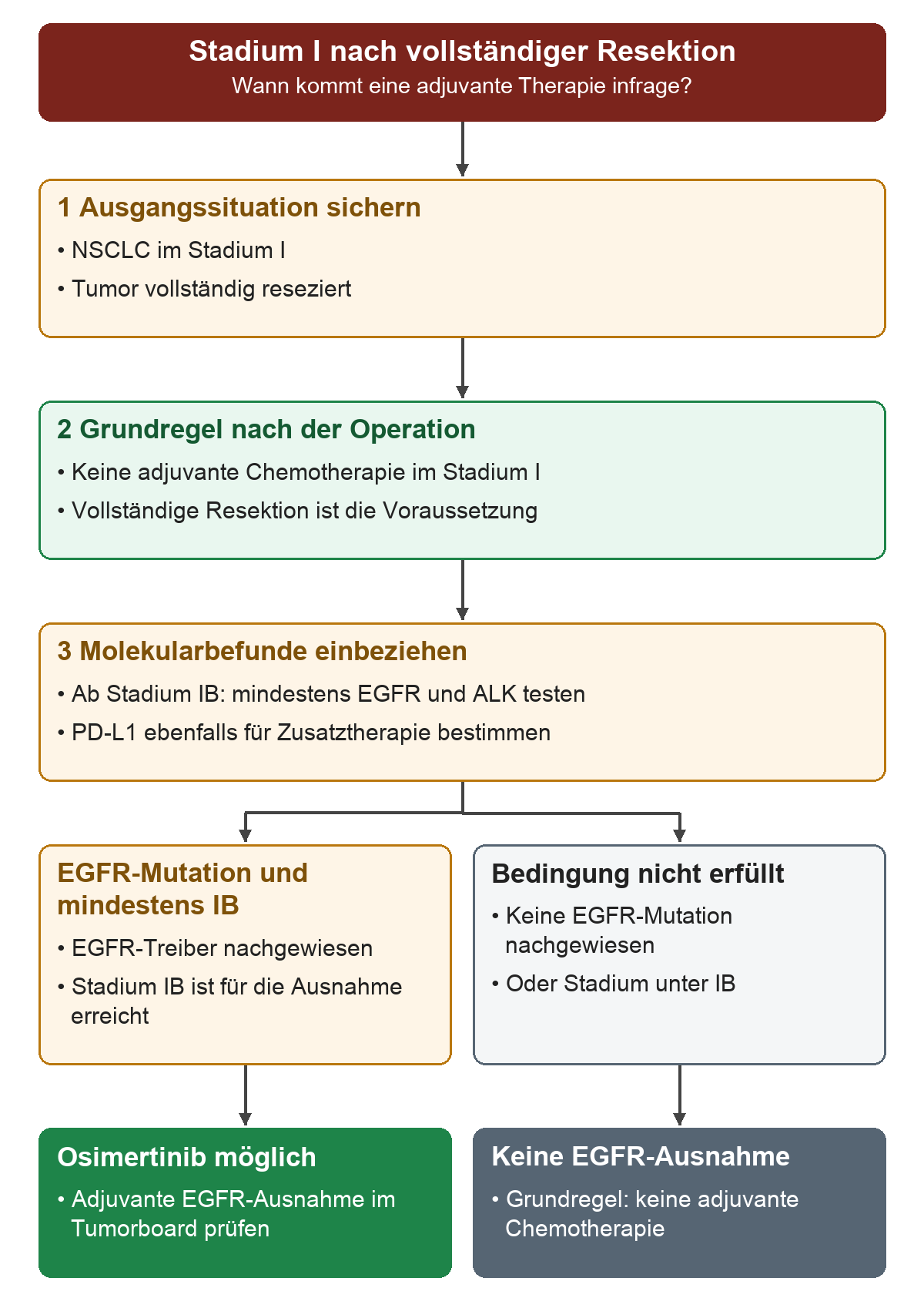 Nach vollständiger Resektion eines NSCLC im Stadium I gilt keine adjuvante Chemotherapie. Molekulare Befunde ab Stadium IB führen zur Ausnahme: Bei nachgewiesener EGFR-Mutation kann Osimertinib adjuvant gegeben werden.