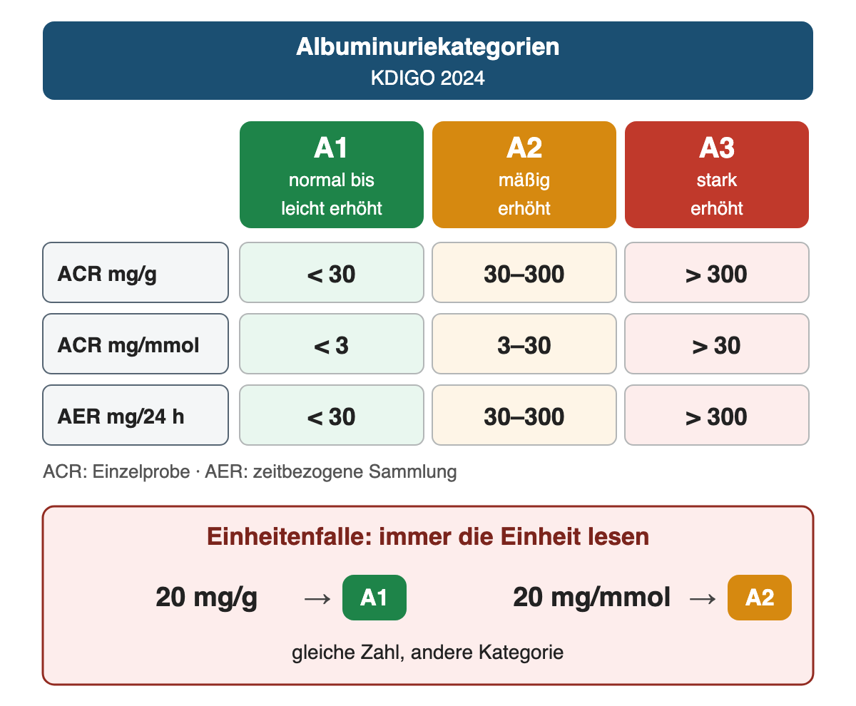 Albuminuriekategorien nach KDIGO 2024 als farbige Spalten: A1 normal bis leicht erhöht mit ACR unter 30 mg/g, unter 3 mg/mmol und AER unter 30 mg/24 h; A2 mäßig erhöht mit 30–300 mg/g, 3–30 mg/mmol und 30–300 mg/24 h; A3 stark erhöht mit über 300 mg/g, über 30 mg/mmol und über 300 mg/24 h. Darunter die Einheitenfalle: 20 mg/g entspricht A1, 20 mg/mmol entspricht A2.
