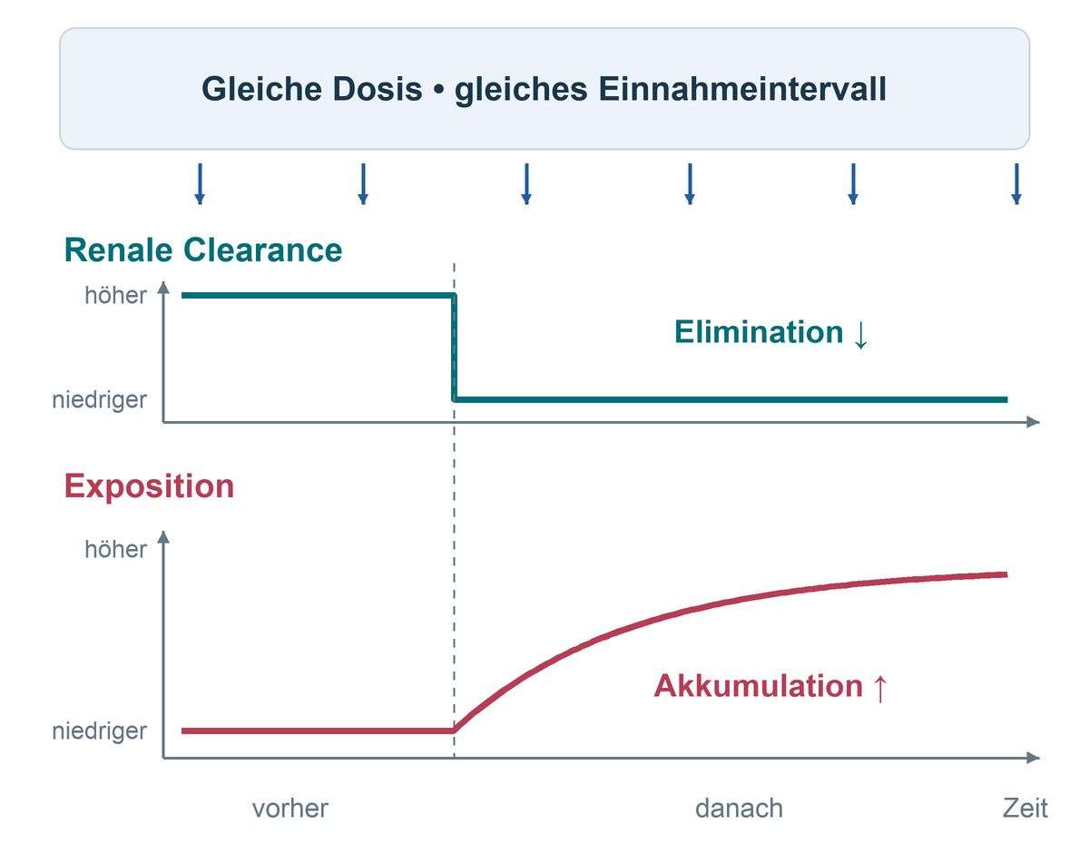 Bei gleicher Dosis und gleichem Einnahmeintervall sinkt die renale Clearance; die Arzneistoffexposition steigt verzögert.