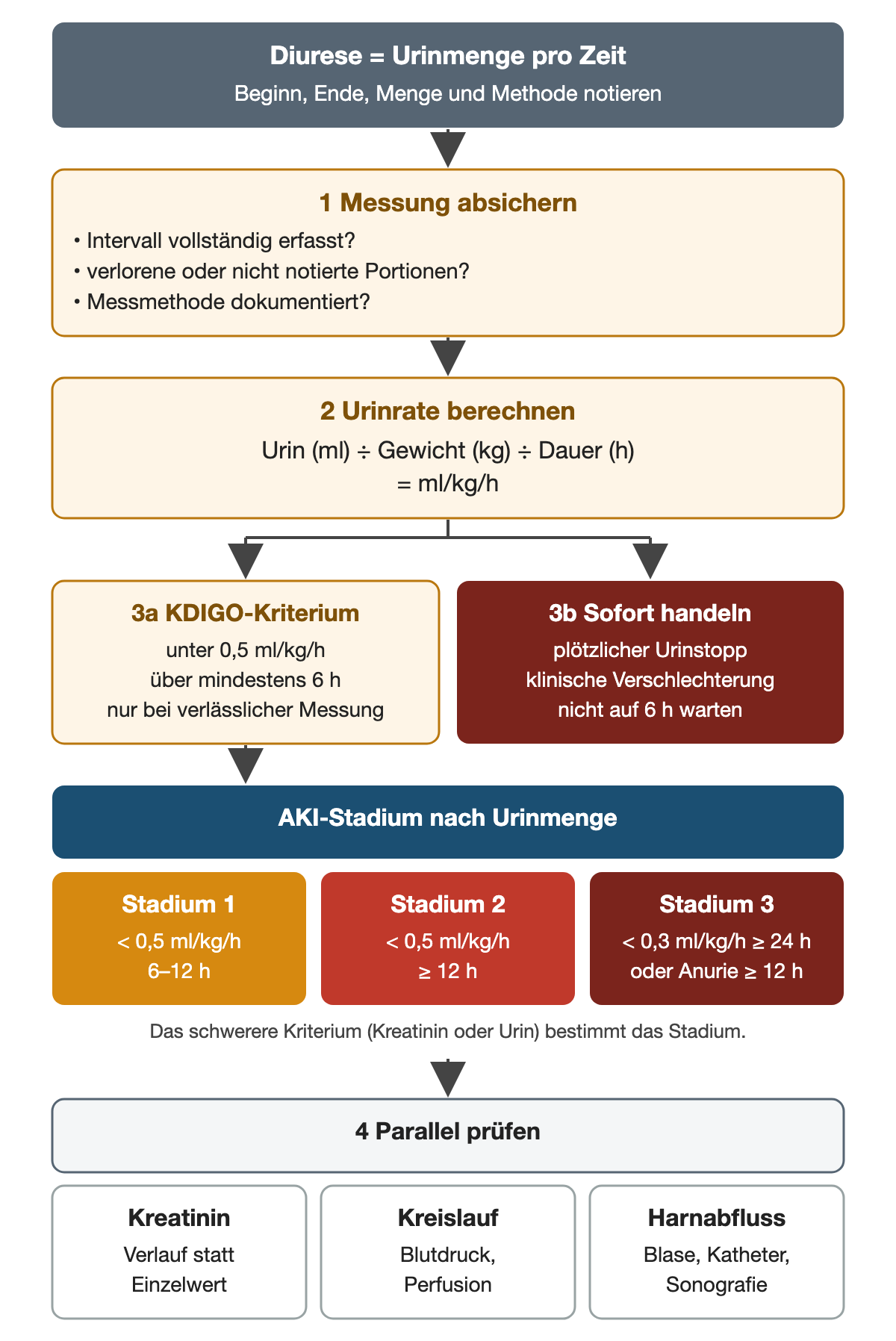 Nach gesicherter Messung wird die Urinrate aus Volumen, Gewicht und Dauer berechnet; unter 0,5 ml/kg/h über mindestens sechs Stunden ist das KDIGO-Kriterium erfüllt, die Stadien 1 bis 3 richten sich nach Schwelle und Dauer, bei Urinstopp oder Verschlechterung wird sofort gehandelt.