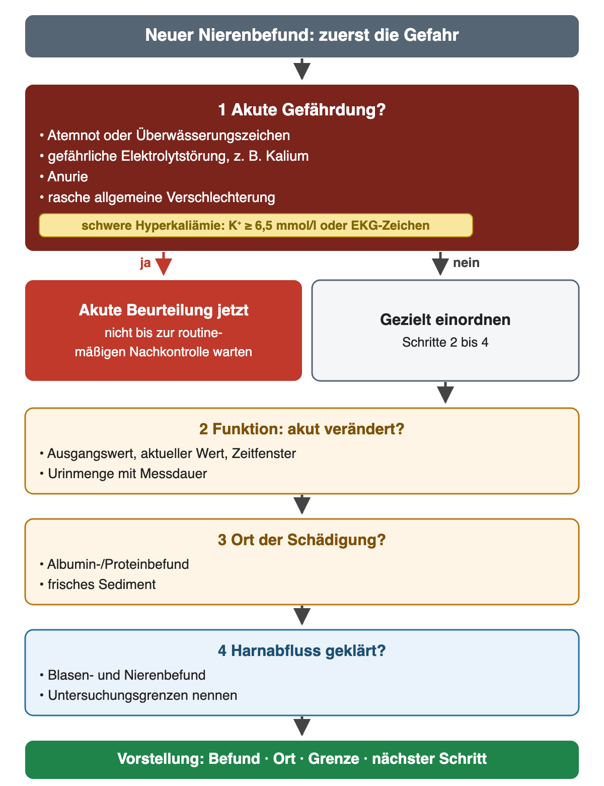 Zuerst wird die akute Gefährdung geprüft: Atemnot oder Überwässerung, gefährliche Elektrolytstörung wie schwere Hyperkaliämie ab 6,5 mmol/l oder mit EKG-Zeichen, Anurie, rasche Verschlechterung. Bei Ja folgt sofort die akute Beurteilung; sonst werden Funktion, Ort der Schädigung und Harnabfluss nacheinander eingeordnet und als Befund, Ort, Grenze und nächster Schritt vorgestellt.