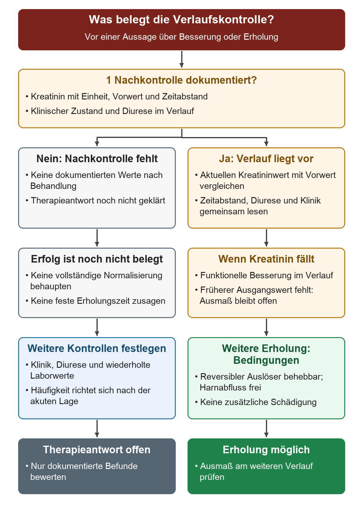 Eine Aussage zur Erholung beginnt mit der Frage nach einer dokumentierten Nachkontrolle. Fehlen Werte nach der Behandlung, bleibt die Therapieantwort offen; eine vollständige Normalisierung oder feste Erholungszeit wird nicht behauptet, Kontrollen von Klinik, Diurese und Labor werden festgelegt. Liegt eine Nachkontrolle vor, werden Kreatinin, Vorwert, Zeitabstand und klinischer Zustand verglichen. Bei dokumentiertem Kreatininabfall kann eine funktionelle Besserung beschrieben werden; ohne früheren Ausgangswert bleibt ihr Ausmaß offen. Eine weitere Erholung ist an die Behebung eines reversiblen Auslösers, freien Harnabfluss und fehlende zusätzliche Schädigung gebunden und wird im Verlauf geprüft.
