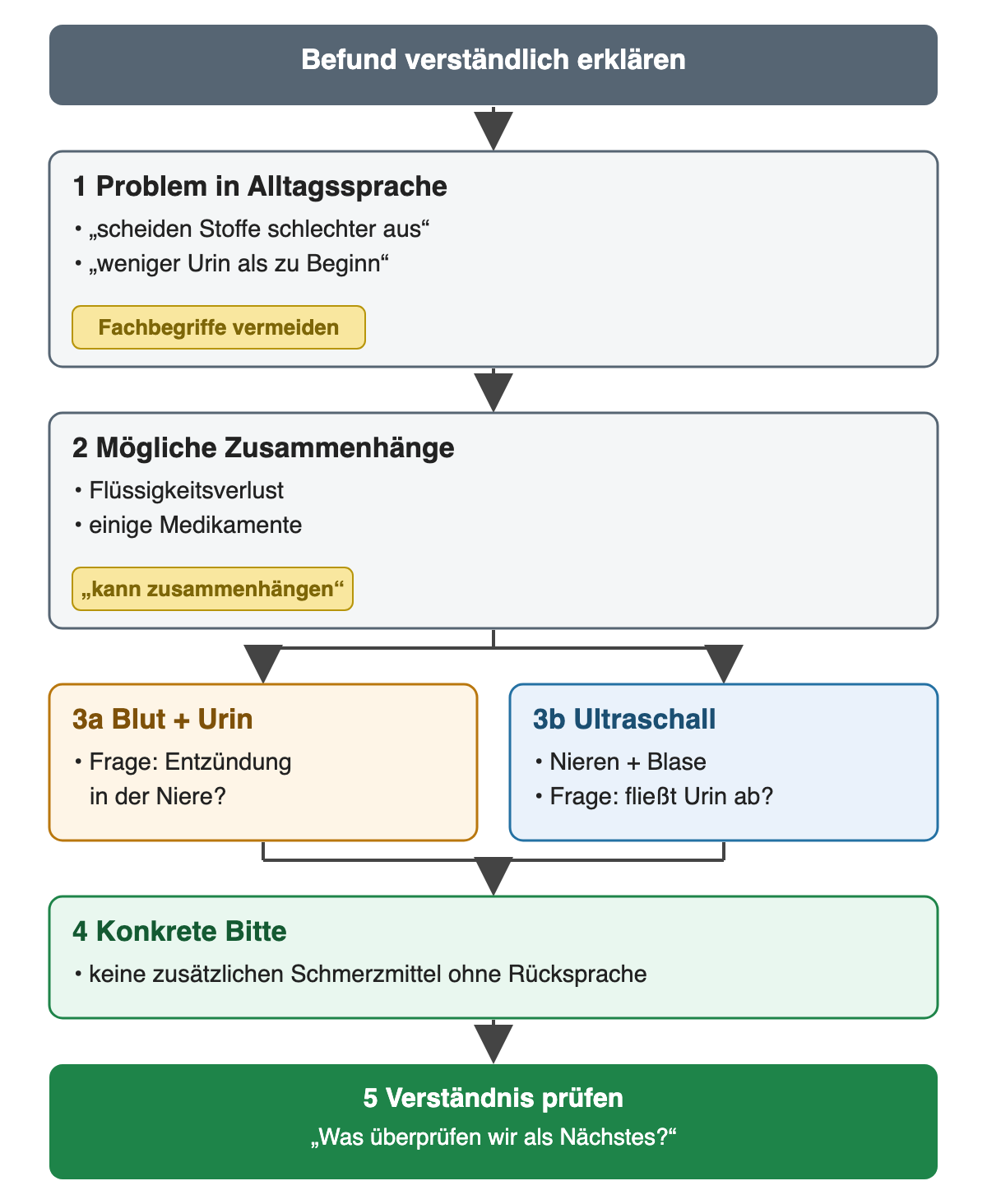 Befund verständlich erklären: 1 das Problem in Alltagssprache benennen (Stoffe werden schlechter ausgeschieden, weniger Urin) und Fachbegriffe vermeiden; 2 mögliche Zusammenhänge als Möglichkeit nennen (Flüssigkeitsverlust, einige Medikamente); 3 jede Untersuchung mit ihrer Frage verbinden – Blut und Urin: Entzündung in der Niere?, Ultraschall von Nieren und Blase: fließt der Urin ab?; 4 konkrete Bitte, keine zusätzlichen Schmerzmittel ohne Rücksprache; 5 Verständnis mit der Frage prüfen, was als Nächstes überprüft wird.