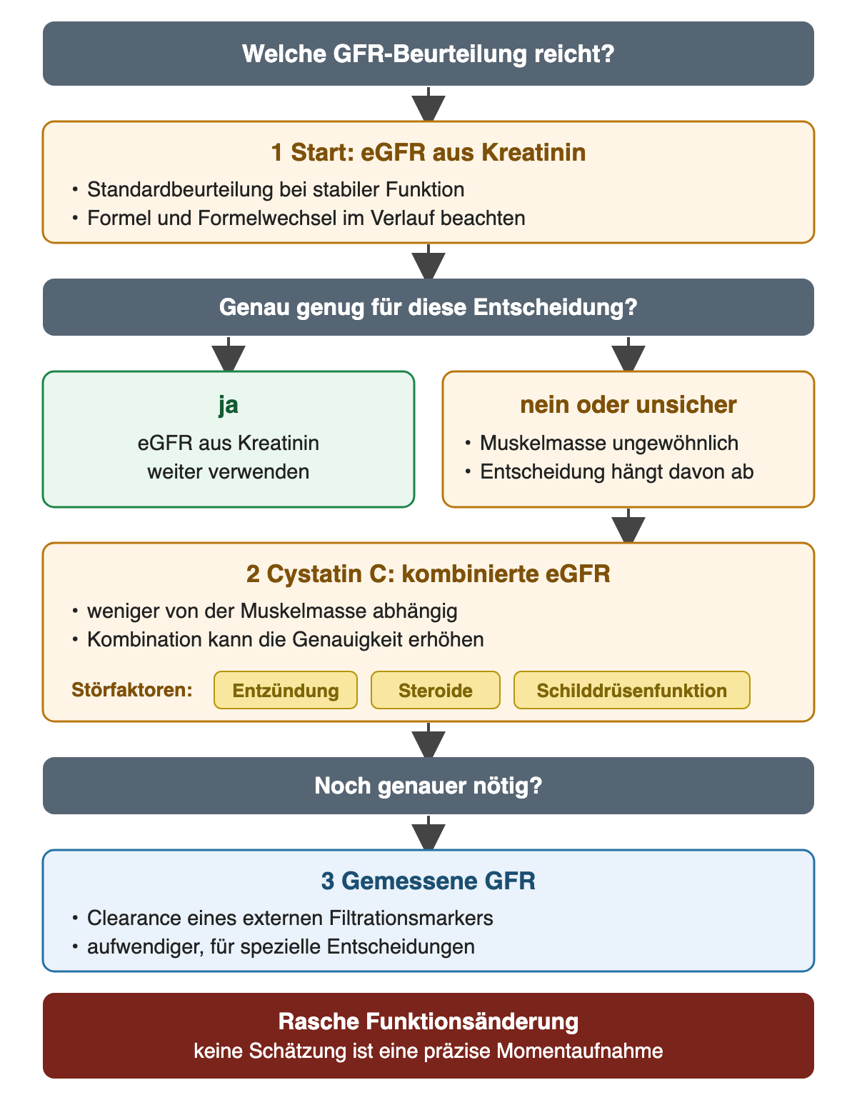 Stufenweise GFR-Beurteilung: Start mit kreatininbasierter eGFR; ist sie für die Entscheidung nicht genau genug, kombinierte eGFR mit Cystatin C; wenn noch genauer nötig, gemessene GFR; bei rascher Funktionsänderung ist keine Schätzung eine präzise Momentaufnahme.
