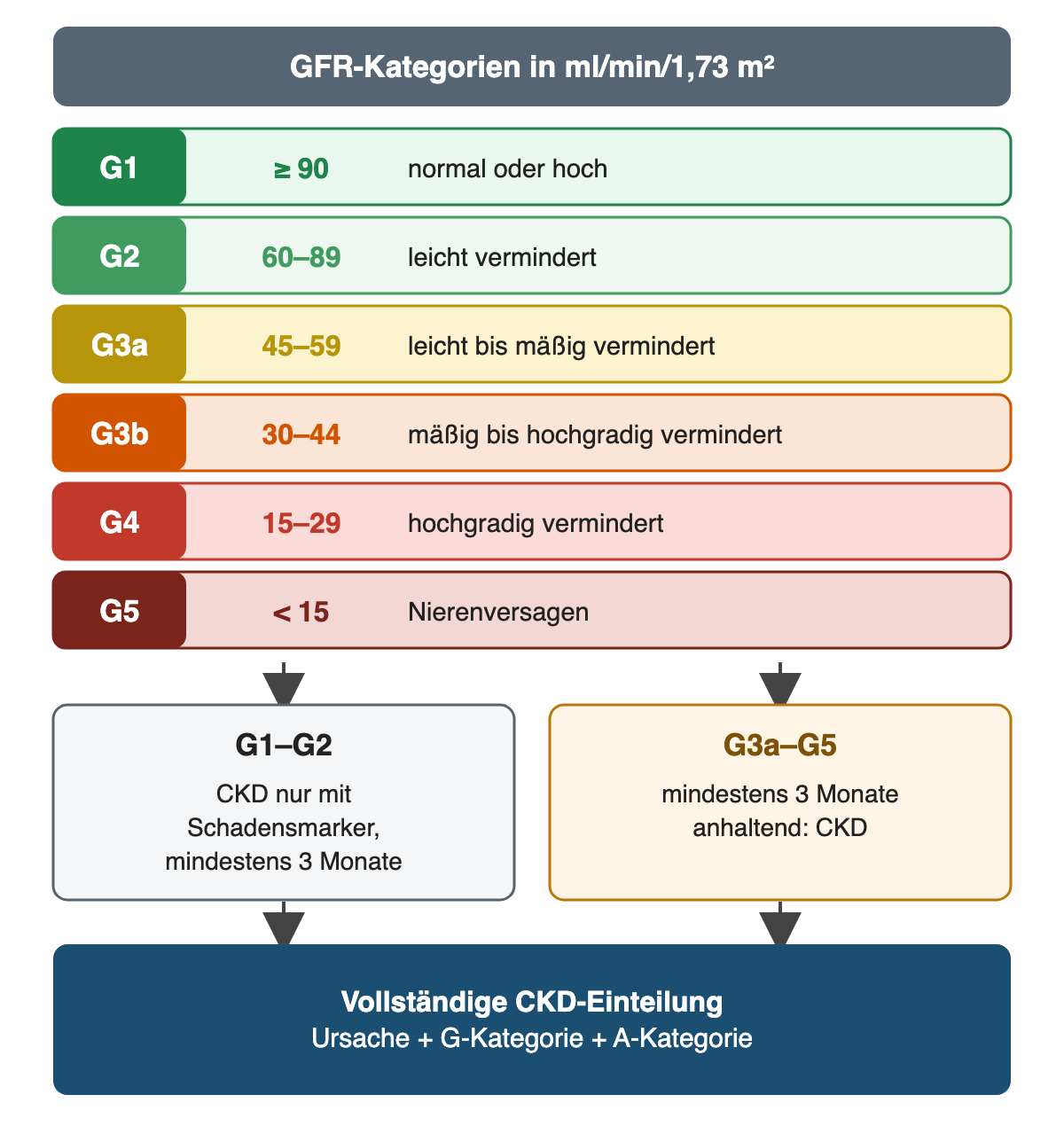 Sechs farbige GFR-Kategorien von G1 mit mindestens 90 bis G5 unter 15 ml/min/1,73 m²; G1 bis G2 bedeuten nur mit Schadensmarker über mindestens drei Monate eine CKD, G3a bis G5 bei mindestens drei Monaten Dauer; die vollständige Einteilung nennt Ursache, G- und A-Kategorie.