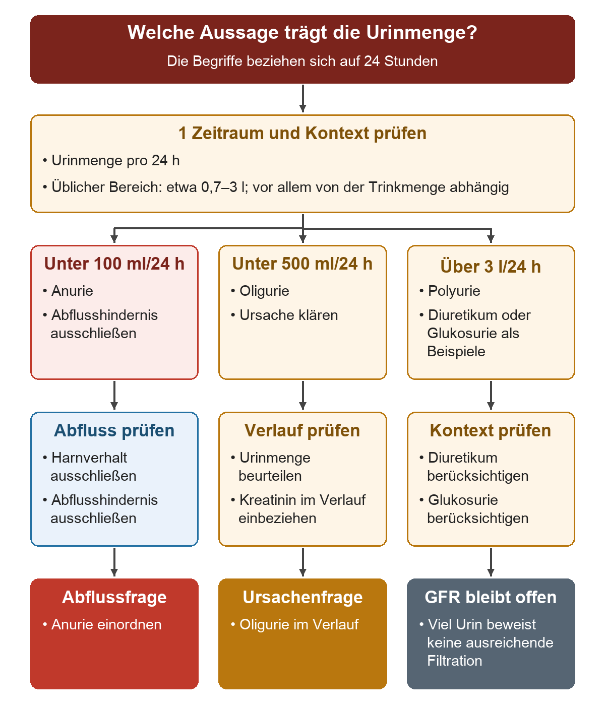 Ausgehend von der Urinmenge über 24 Stunden führen die Bedingungen unter 100 ml, unter 500 ml und über 3 l zu Anurie, Oligurie und Polyurie; darunter stehen die zugehörigen Prüfaufträge zu Abfluss, Kreatininverlauf und Diuretikum oder Glukosurie.