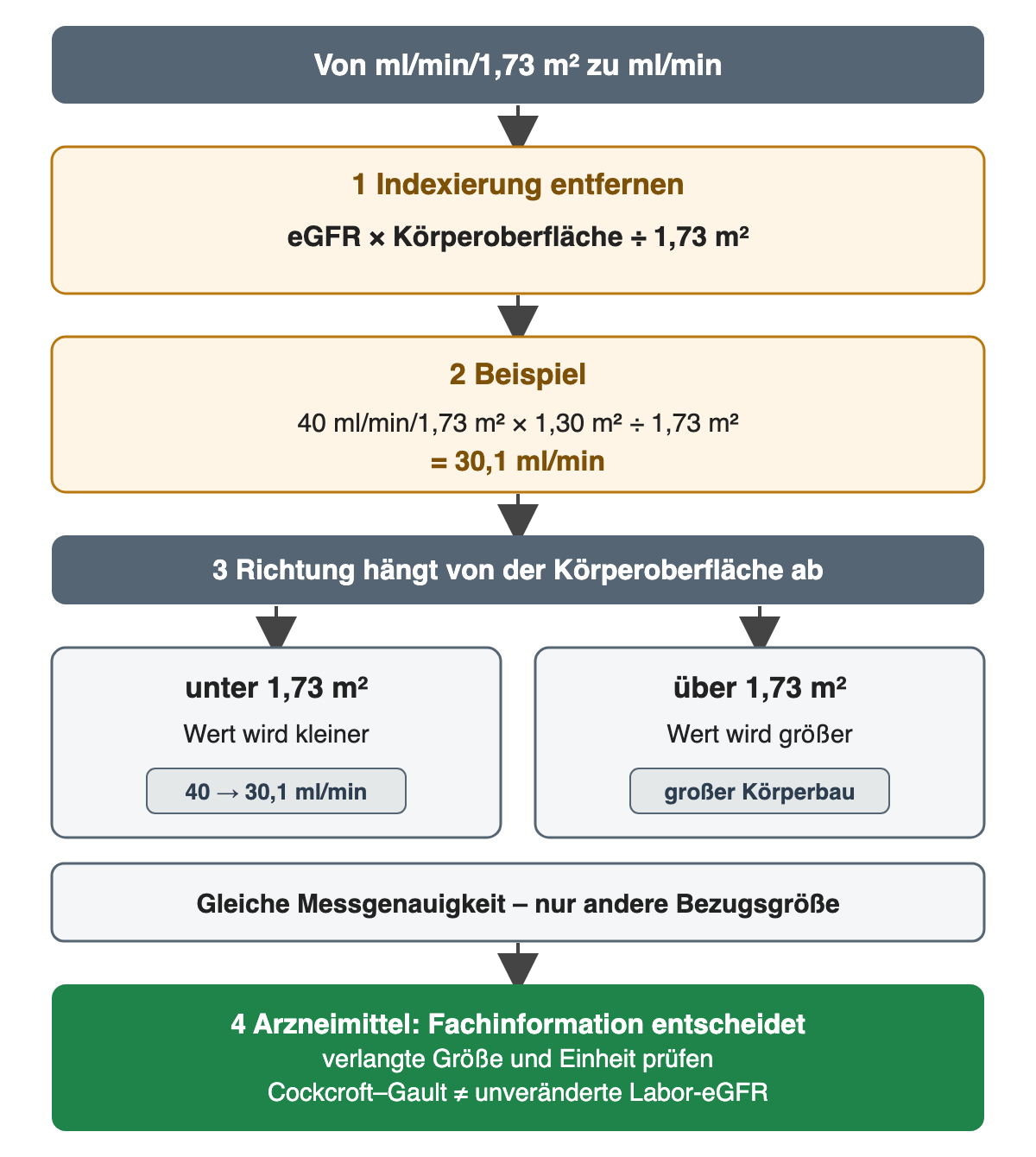 Indexierung entfernen: eGFR mal Körperoberfläche geteilt durch 1,73 m²; aus 40 ml/min/1,73 m² und 1,30 m² werden 30,1 ml/min; unter 1,73 m² wird der Wert kleiner, darüber größer; die Messgenauigkeit bleibt gleich und für Arzneimittel entscheidet die Fachinformation.