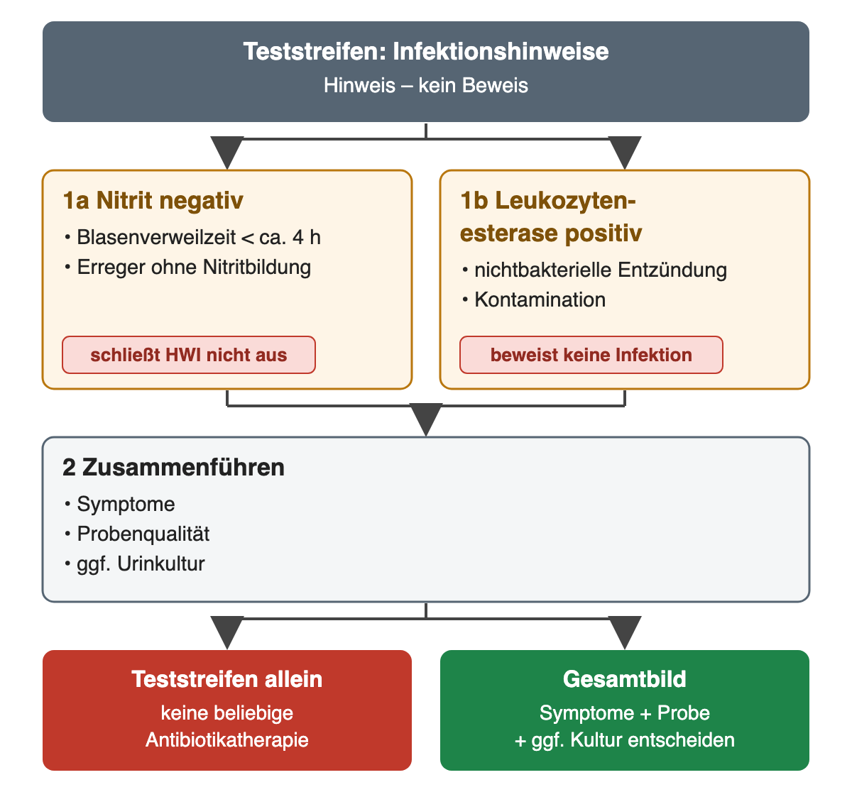 Teststreifen-Infektionshinweise: Nitrit negativ (Blasenverweilzeit unter etwa 4 Stunden, Erreger ohne Nitritbildung) schließt einen Harnwegsinfekt nicht aus; Leukozytenesterase positiv (nichtbakterielle Entzündung, Kontamination) beweist keine Infektion; Symptome, Probenqualität und gegebenenfalls Urinkultur werden zusammengeführt; der Teststreifen allein begründet keine beliebige Antibiotikatherapie.