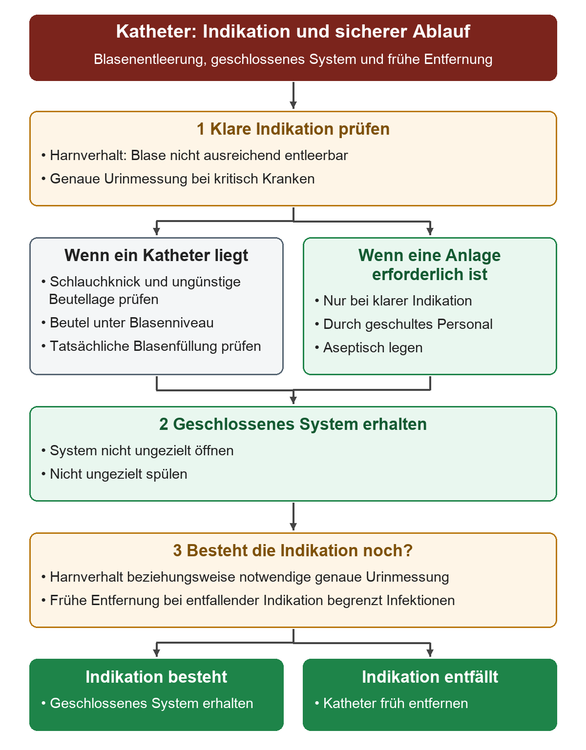 Nach Prüfung einer klaren Indikation wird zwischen einem vorhandenen Katheter mit äußerem Abflusscheck und einer erforderlichen aseptischen Anlage unterschieden. Beide Wege führen zum geschlossenen System und zur Prüfung, ob die Indikation fortbesteht.