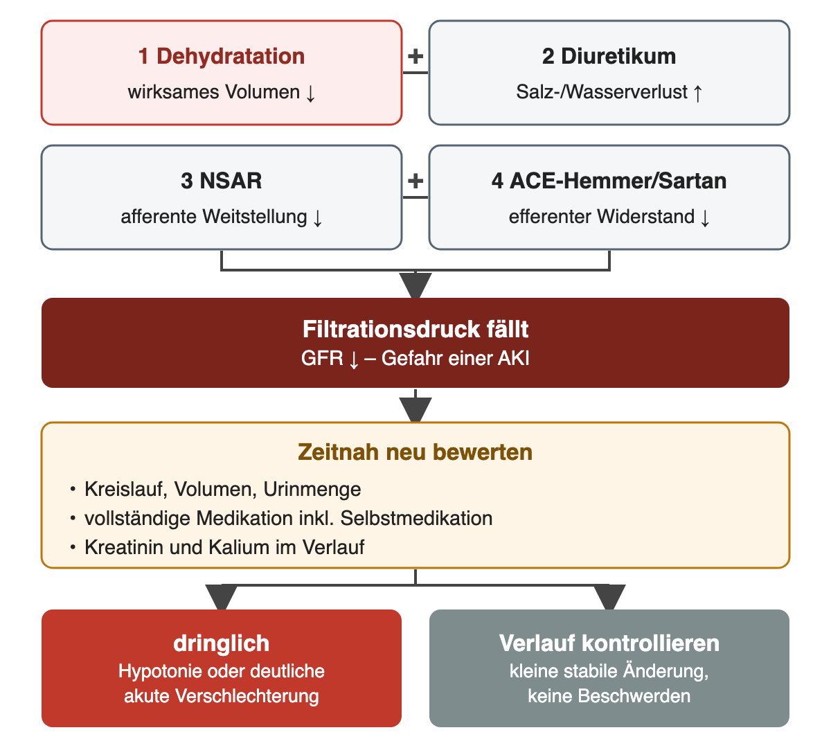 Dehydratation, Diuretikum, NSAR und ACE-Hemmer oder Sartan wirken zusammen: Der Filtrationsdruck fällt und es droht eine AKI; es folgt eine zeitnahe Neubewertung von Kreislauf, Volumen, Urinmenge, Medikation sowie Kreatinin und Kalium; bei Hypotonie oder deutlicher Verschlechterung ist sie dringlich, bei kleiner stabiler Änderung ohne Beschwerden genügt die Verlaufskontrolle.