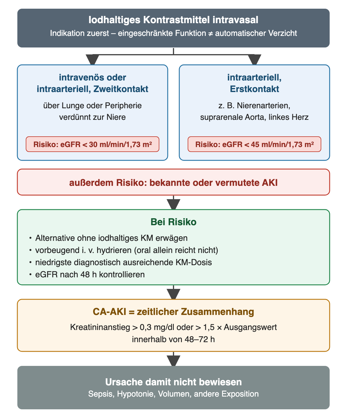 Iodhaltiges Kontrastmittel intravasal, bei klarer Indikation ist eine eingeschränkte Funktion allein kein Grund zum Verzicht: Risiko bei eGFR unter 30 ml/min/1,73 m² für intravenöse Gabe oder intraarteriellen Zweitkontakt, unter 45 für intraarteriellen Erstkontakt, außerdem bei bekannter oder vermuteter AKI; bei Risiko Alternative erwägen, intravenös hydrieren, niedrigste ausreichende Dosis, eGFR nach 48 Stunden; CA-AKI bei Kreatininanstieg über 0,3 mg/dl oder über das 1,5-Fache in 48–72 Stunden; die Ursache ist damit nicht bewiesen.