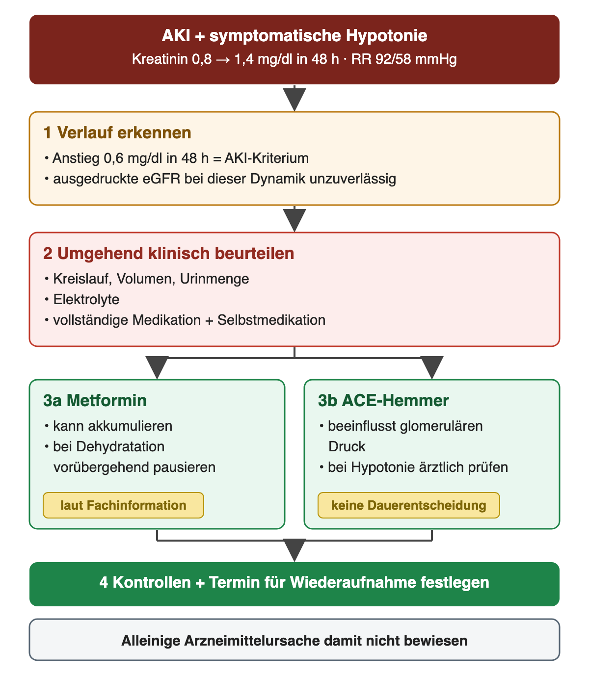 AKI und symptomatische Hypotonie (Kreatinin 0,8 auf 1,4 mg/dl in 48 Stunden, Blutdruck 92/58 mmHg): 1 Verlauf erkennen – der Anstieg um 0,6 mg/dl in 48 Stunden erfüllt ein AKI-Kriterium, die ausgedruckte eGFR ist bei dieser Dynamik unzuverlässig; 2 umgehend Kreislauf, Volumen, Urinmenge, Elektrolyte und vollständige Medikation einschließlich Selbstmedikation beurteilen; 3 Metformin kann akkumulieren und wird bei Dehydratation laut Fachinformation vorübergehend pausiert, der ACE-Hemmer beeinflusst den glomerulären Druck und wird bei Hypotonie ärztlich geprüft, ohne Dauerentscheidung; 4 Kontrollen und Termin für die Wiederaufnahme festlegen; eine alleinige Arzneimittelursache ist damit nicht bewiesen.