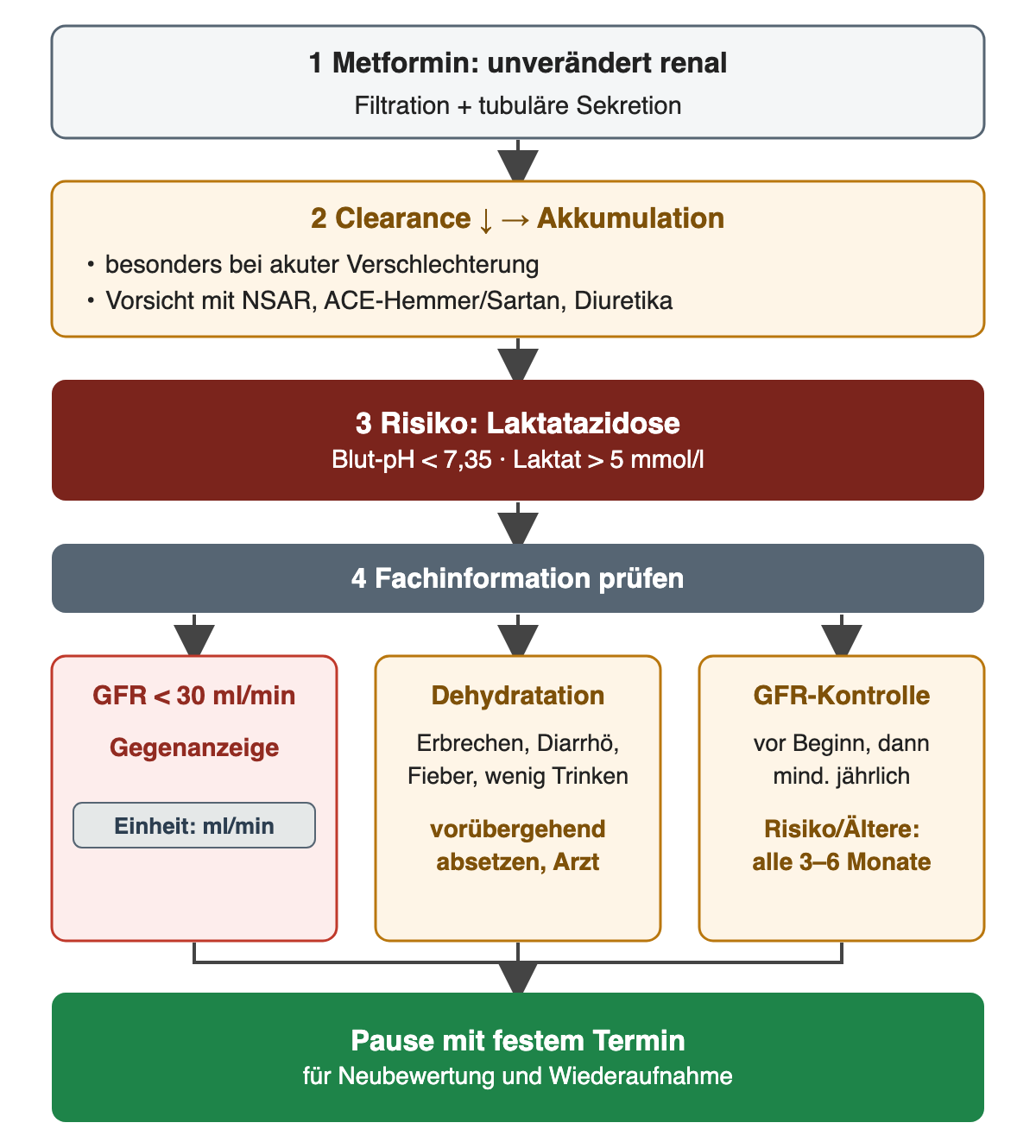 Metformin wird unverändert renal durch Filtration und tubuläre Sekretion ausgeschieden; sinkt die Clearance, besonders akut oder unter NSAR, ACE-Hemmer, Sartan oder Diuretika, akkumuliert es; Risiko Laktatazidose mit Blut-pH unter 7,35 und Laktat über 5 mmol/l; laut Fachinformation Gegenanzeige bei GFR unter 30 ml/min, vorübergehendes Absetzen bei Dehydratation, GFR-Kontrolle vor Beginn, dann mindestens jährlich, bei Risiko oder im Alter alle 3–6 Monate; jede Pause mit festem Termin für die Neubewertung.