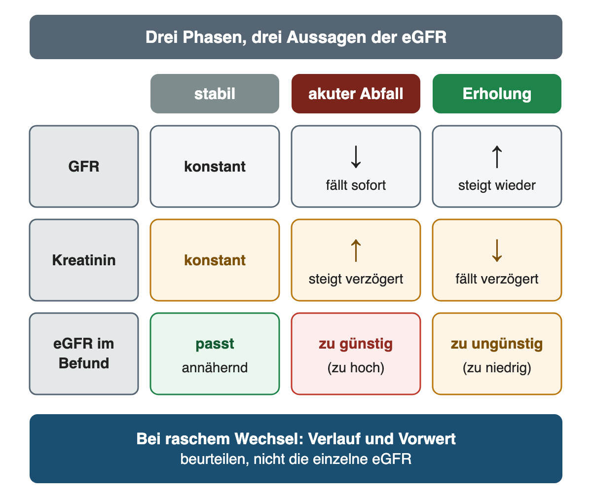 Raster mit drei Phasen: stabil passt die eGFR annähernd; beim akuten Abfall fällt die GFR sofort, Kreatinin steigt verzögert und die eGFR ist zu günstig; in der Erholung steigt die GFR, Kreatinin fällt verzögert und die eGFR ist zu ungünstig.