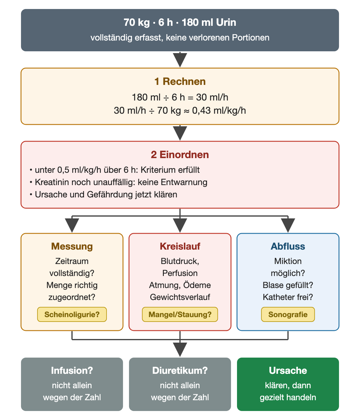 Aus 180 ml in sechs Stunden bei 70 kg ergeben sich 0,43 ml/kg/h; danach werden Messung, Kreislauf und Abfluss geprüft, bevor über Infusion oder Diuretikum entschieden wird.