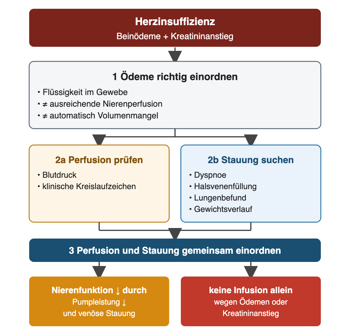 Bei Herzinsuffizienz mit Beinödemen und Kreatininanstieg werden Ödeme zuerst als Flüssigkeit im Gewebe eingeordnet; danach werden Perfusion mit Blutdruck und Kreislaufzeichen sowie Stauung mit Dyspnoe, Halsvenenfüllung, Lungenbefund und Gewichtsverlauf gemeinsam beurteilt; eine Infusion allein wegen Ödemen oder Kreatininanstieg ist nicht begründet.