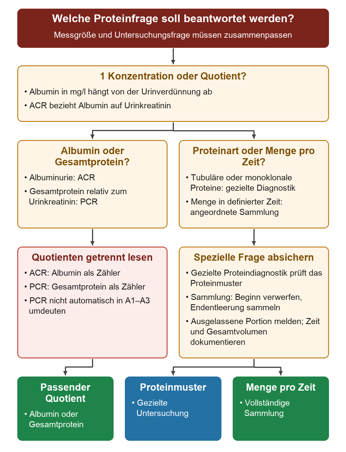 Die Frage nach Konzentration oder Quotient führt links zur getrennten Auswahl von ACR und PCR und rechts zu gezielter Proteindiagnostik oder zeitbezogener Sammlung. Die Ergebnisse werden als Quotient, Proteinmuster oder Menge pro Zeit benannt.