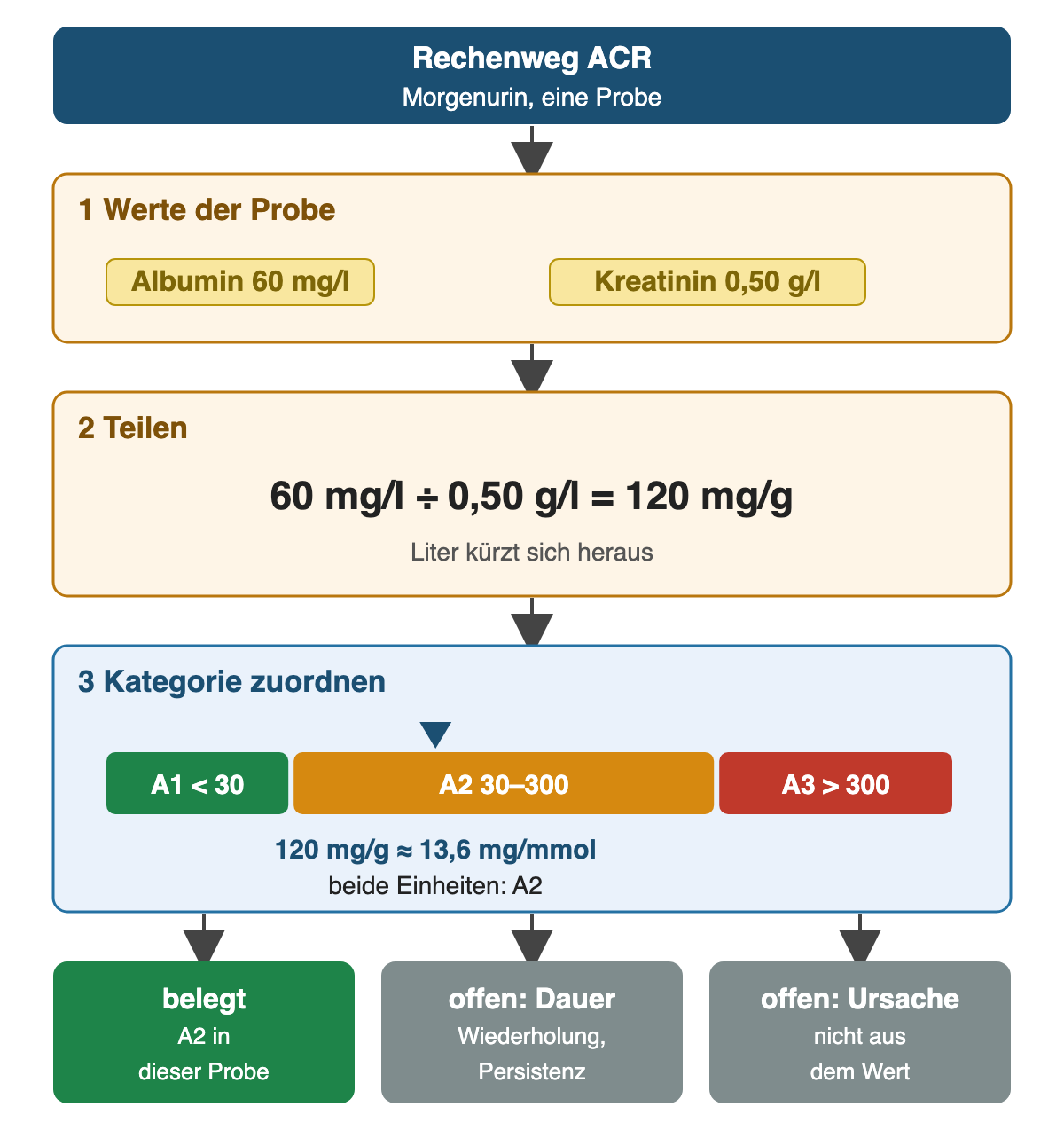 Rechenweg in drei Schritten: Werte der Probe Albumin 60 mg/l und Kreatinin 0,50 g/l, Teilen 60 mg/l durch 0,50 g/l gleich 120 mg/g, wobei sich Liter herauskürzt, dann Einordnung auf der Skala A1 unter 30, A2 30–300, A3 über 300 mg/g; 120 mg/g entsprechen etwa 13,6 mg/mmol und liegen in beiden Einheiten in A2. Ergebnis: belegt ist A2 in dieser Probe, offen bleiben Dauer und Ursache.