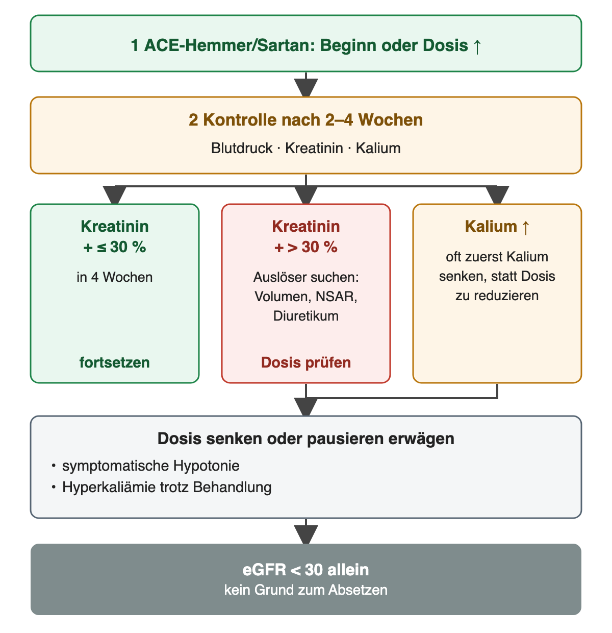 Nach Beginn oder Dosiserhöhung eines ACE-Hemmers oder Sartans Kontrolle von Blutdruck, Kreatinin und Kalium nach 2–4 Wochen; Kreatininanstieg bis 30 % in 4 Wochen: fortsetzen; über 30 %: Auslöser wie Volumenmangel, NSAR oder Diuretikum suchen und Dosis prüfen; Kalium erhöht: oft zuerst Kalium senken; Dosis senken oder pausieren bei symptomatischer Hypotonie oder unkontrollierter Hyperkaliämie; eine eGFR unter 30 allein ist kein Absetzgrund.