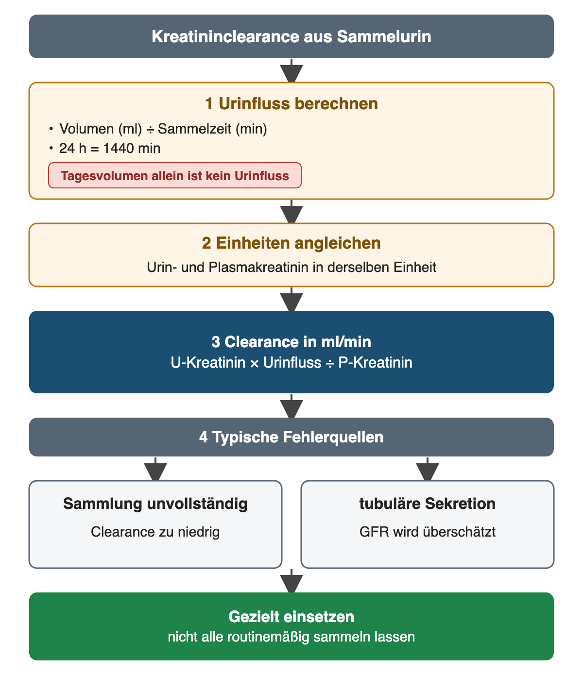 Kreatininclearance aus Sammelurin in Schritten: Urinfluss als Volumen durch Sammelzeit in Minuten, gleiche Einheiten für Urin- und Plasmakreatinin, dann U-Kreatinin mal Urinfluss durch P-Kreatinin; unvollständige Sammlung ergibt zu niedrige Werte, tubuläre Sekretion überschätzt die GFR.