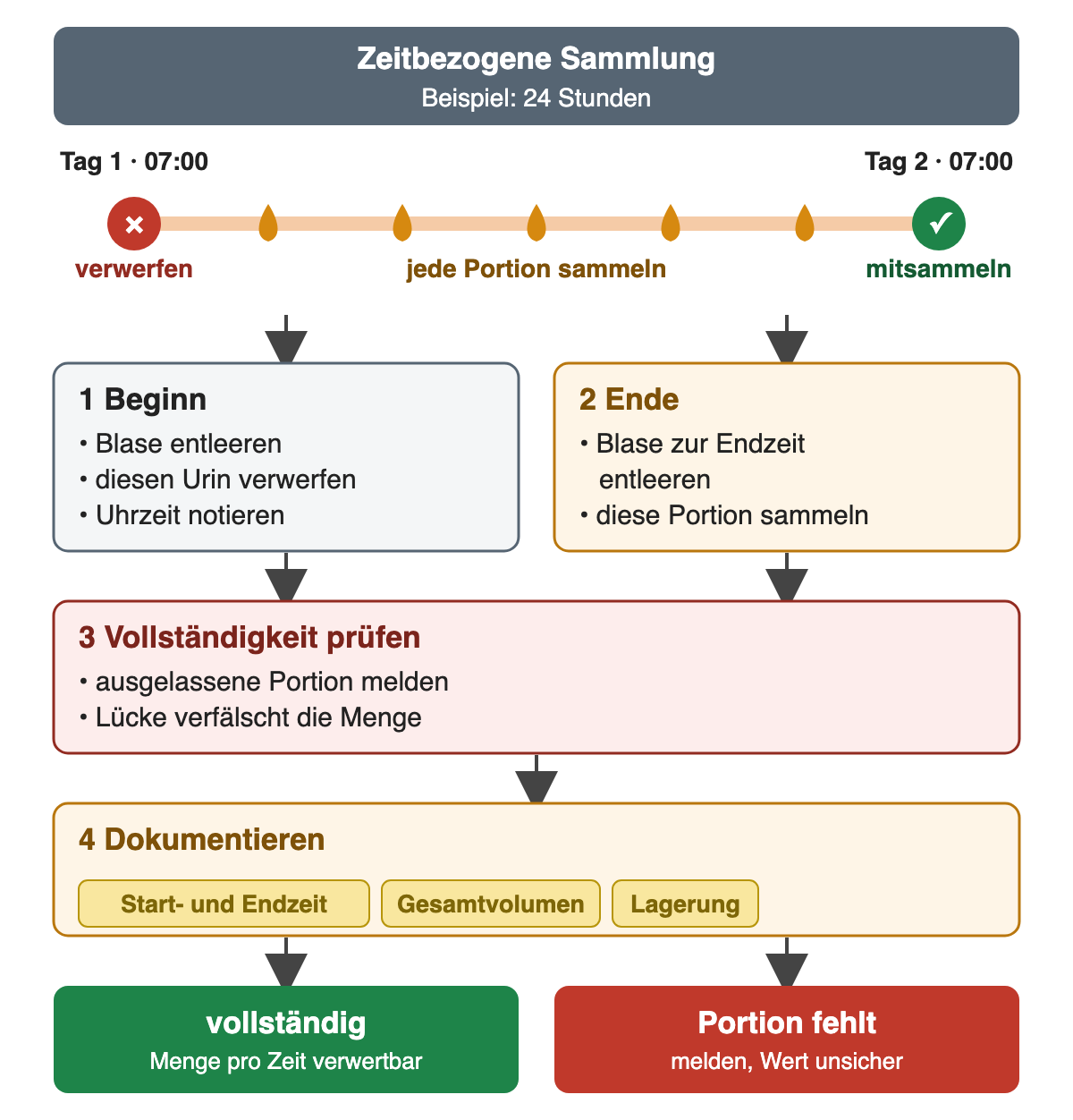 Zeitachse einer 24-Stunden-Sammlung von Tag 1, 07:00 Uhr, bis Tag 2, 07:00 Uhr: Die erste Blasenentleerung wird verworfen, jede weitere Portion gesammelt und die Endentleerung mitgesammelt. Darunter die Schritte Beginn, Ende, Vollständigkeit prüfen und Dokumentieren von Start- und Endzeit, Gesamtvolumen und Lagerung; als Ergebnis eine verwertbare vollständige Sammlung oder eine fehlende Portion, die gemeldet wird.