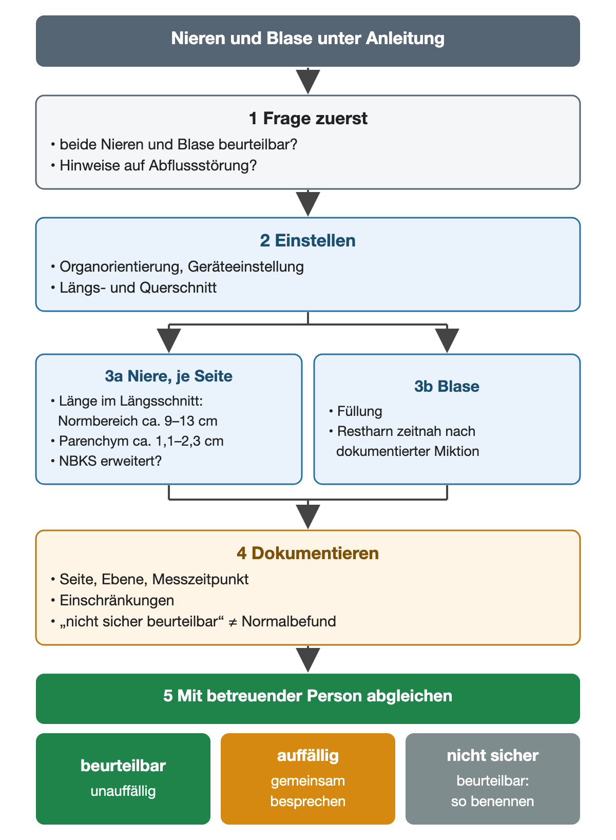 Die beaufsichtigte Sonografie führt von der klinischen Frage über Einstellung, Niere je Seite mit Normbereichen und Blase mit Restharn zur Dokumentation und Besprechung mit drei möglichen Ergebnissen: beurteilbar und unauffällig, auffällig, nicht sicher beurteilbar.