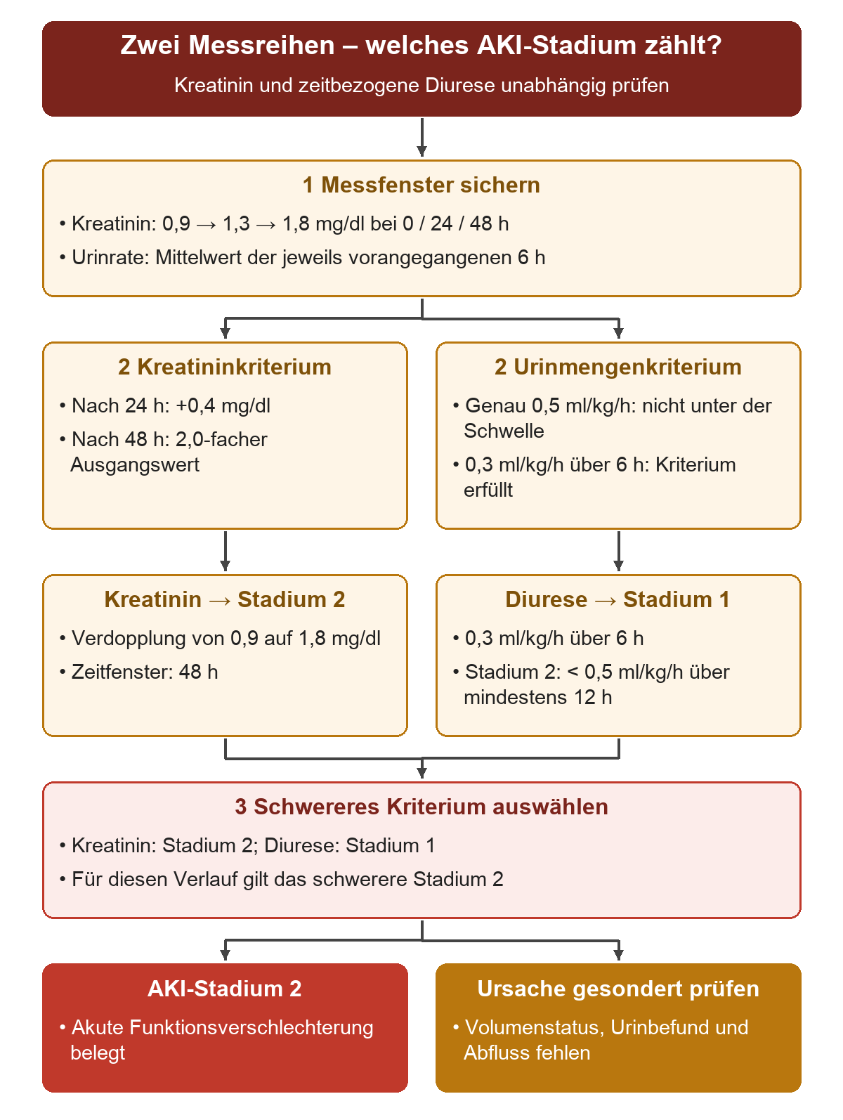 Ausgehend von Kreatinin 0,9 auf 1,8 mg/dl in 48 Stunden und Diurese 0,3 ml/kg/h über sechs Stunden werden die Kriterien getrennt ausgewertet. Die Kreatininverdopplung entspricht Stadium 2, die Urinrate über sechs Stunden Stadium 1. Genau 0,5 ml/kg/h liegt nicht unter der Schwelle; Stadium 2 über die Diurese verlangt unter 0,5 ml/kg/h über mindestens zwölf Stunden. Das schwerere Kriterium bestimmt Stadium 2, die Ursache bleibt getrennt zu klären.