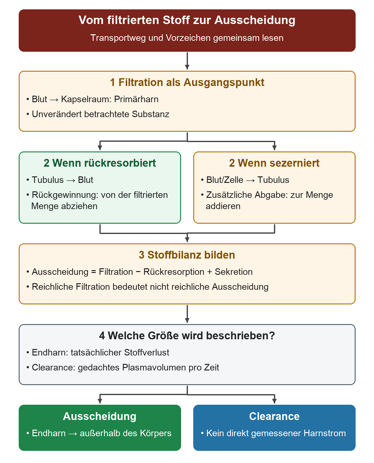 Von der Filtration führen zwei bedingte Wege über Rückresorption und Sekretion zur Stoffbilanz; anschließend werden tatsächlicher Verlust im Endharn und gedachtes gereinigtes Plasmavolumen getrennt.