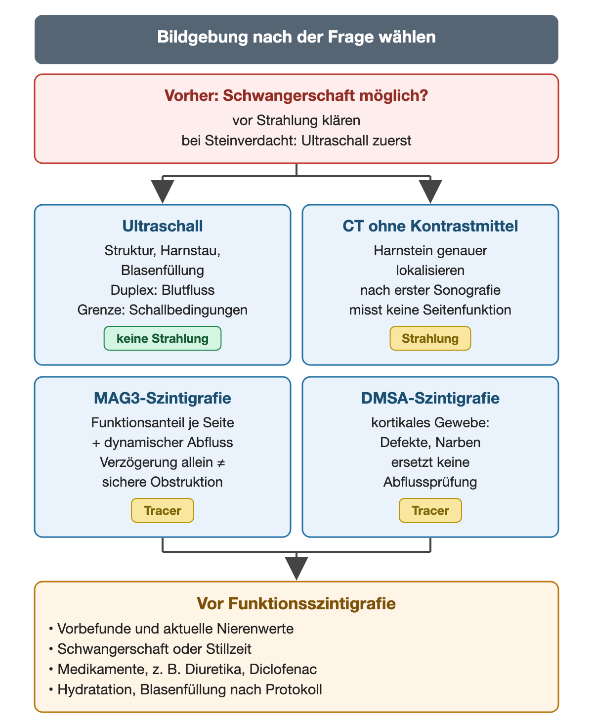 Vor strahlenanwendender Diagnostik wird eine Schwangerschaft geklärt; Ultraschall, CT ohne Kontrastmittel, MAG3- und DMSA-Szintigrafie beantworten unterschiedliche Fragen; vor einer Funktionsszintigrafie werden Vorbefunde, Nierenwerte, Schwangerschafts- oder Stillstatus, Medikamente und Protokollvorgaben zusammengestellt.