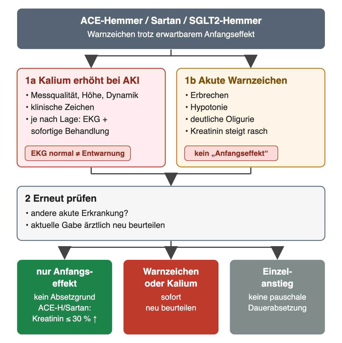 Unter ACE-Hemmer, Sartan oder SGLT2-Hemmer: Kalium erhöht bei AKI – Messqualität, Höhe, Dynamik und klinische Zeichen prüfen, je nach Lage EKG und sofortige Behandlung, ein normales EKG ist keine Entwarnung; Erbrechen, Hypotonie, deutliche Oligurie oder rasch steigendes Kreatinin sind kein Anfangseffekt; erneut prüfen, ob eine andere akute Erkrankung vorliegt, und die Gabe ärztlich neu beurteilen. Ein reiner Anfangseffekt ist kein Absetzgrund (bei ACE-Hemmer oder Sartan Kreatininanstieg bis 30 %), Warnzeichen oder Kalium verlangen sofortige Neubeurteilung, ein Einzelanstieg rechtfertigt keine pauschale Dauerabsetzung.