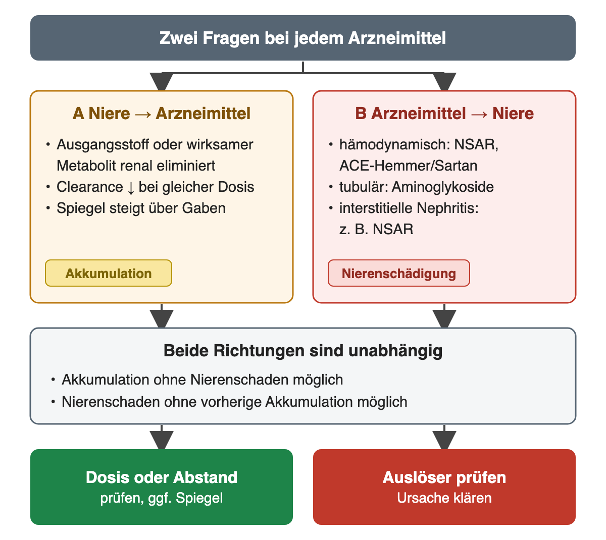 Zwei Richtungen: Links beeinflusst die Niere das Arzneimittel, verminderte renale Elimination führt bei gleicher Dosis zur Akkumulation; rechts beeinflusst das Arzneimittel die Niere hämodynamisch, tubulär oder über eine interstitielle Nephritis; beide Richtungen sind unabhängig und führen zu unterschiedlichen Konsequenzen.