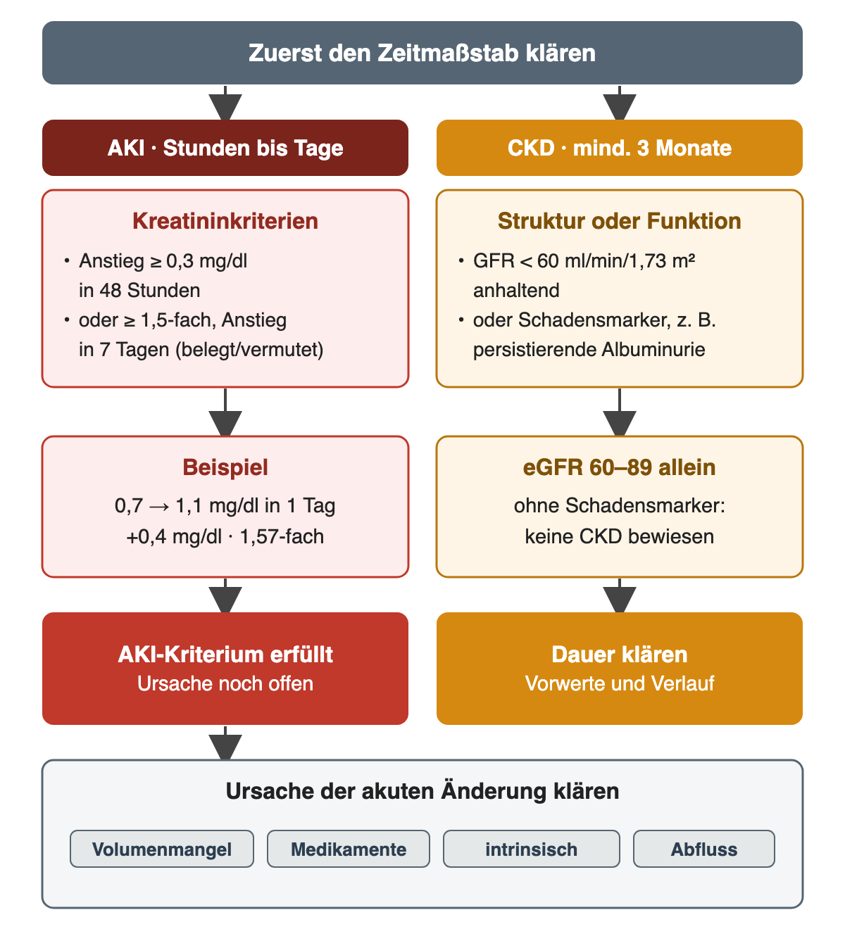 Links führen die Kreatininkriterien der AKI und das Beispiel von 0,7 auf 1,1 mg/dl zum erfüllten AKI-Kriterium mit offener Ursache; rechts stehen mindestens drei Monate, GFR unter 60 oder Schadensmarker für die CKD; darunter die zu klärenden Ursachen Volumenmangel, Medikamente, intrinsische Erkrankung und Abfluss.
