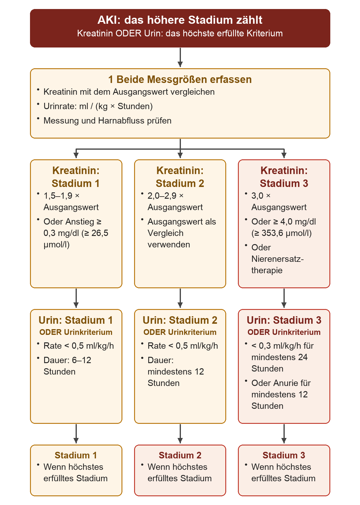 Nach Erfassung von Kreatinin, Ausgangswert, Urinmenge, Körpergewicht und Zeitraum werden von links nach rechts die Stadien eins, zwei und drei verglichen. Jede Spalte enthält oben die Kreatininkriterien und darunter alternativ die Urinkriterien. Maßgeblich ist das höchste erfüllte Stadium aus beiden Messgrößen.